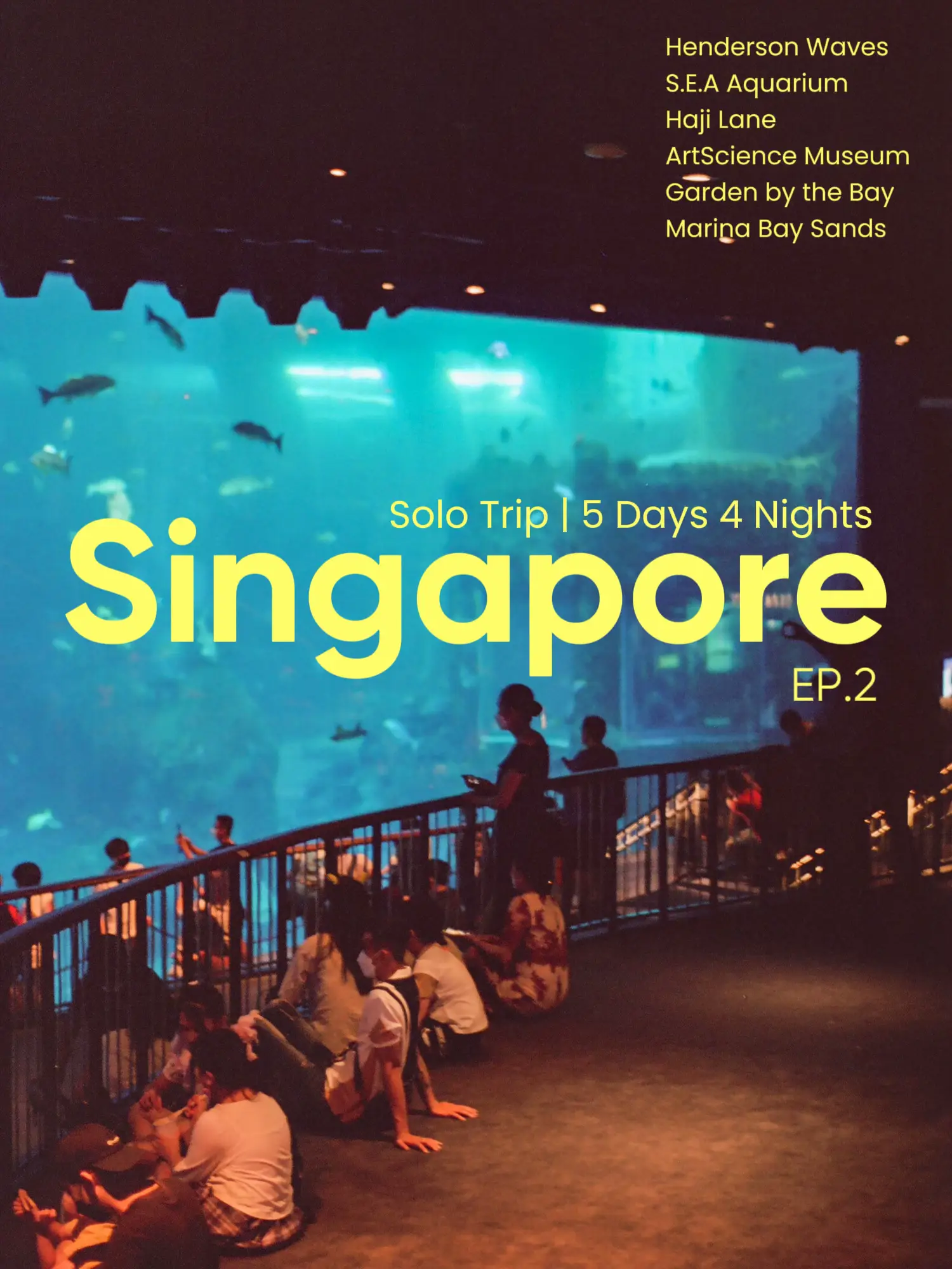 シンガポールの正午だけ👀🇸🇬独身。5日間。それは何ですか? EP.2 vanwongyaiが投稿したフォトブック Lemon8 シンガポールの正午だけ👀🇸🇬独身。5日間。それは何ですか? EP.2 vanwongyaiが投稿したフォトブック Lemon8
