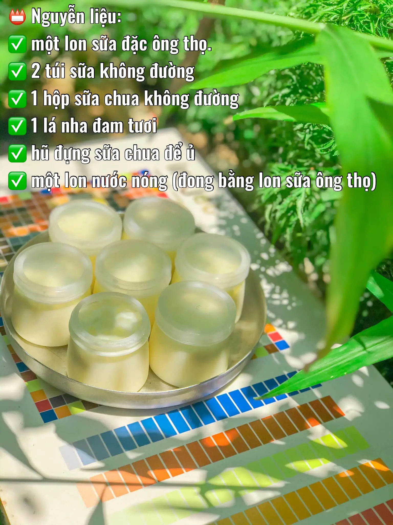 SỮA CHUA NHA ĐAM | Bộ sưu tập do Quỳnh bỉm sữa đăng | Lemon8