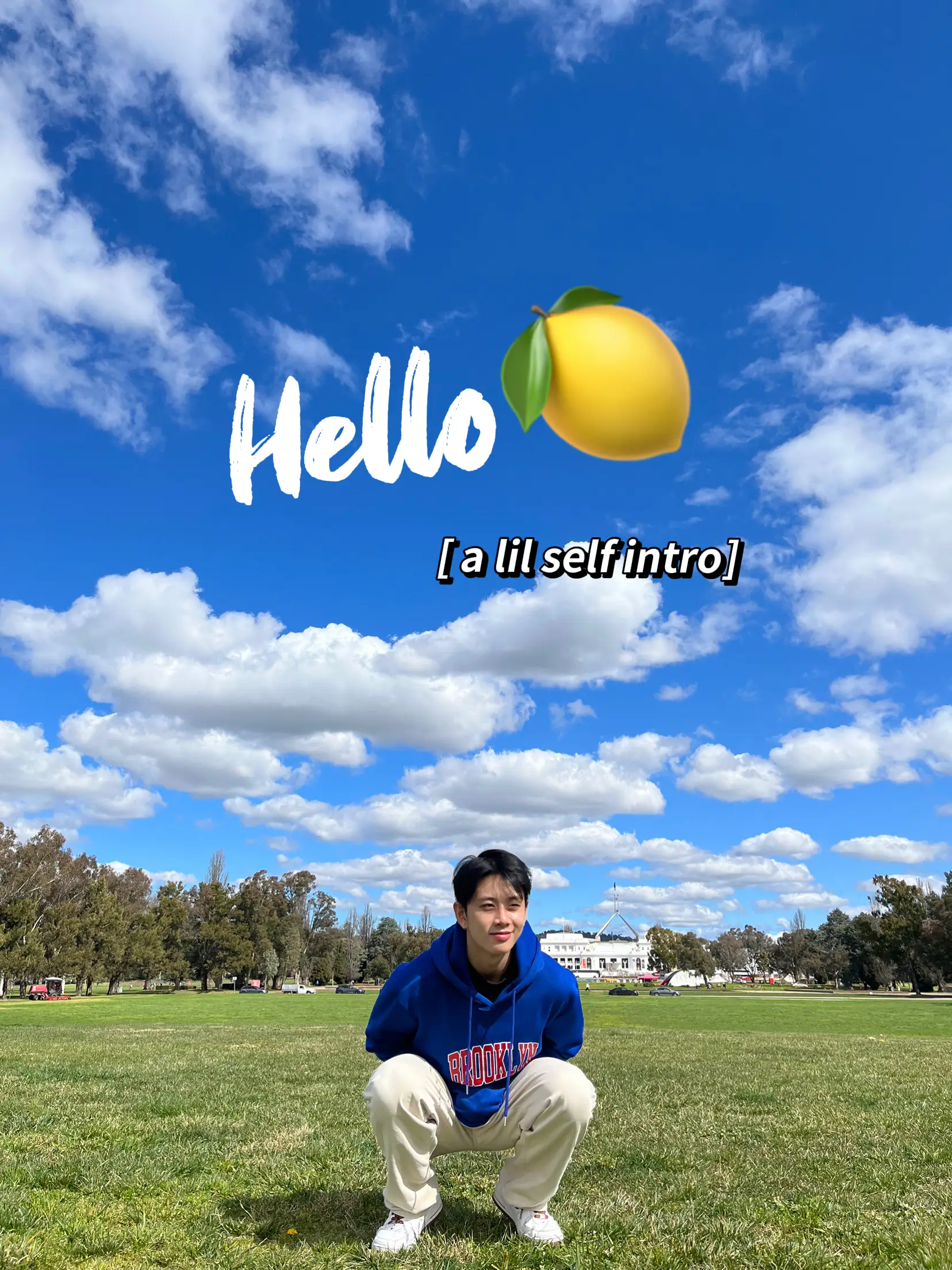 HELLOLULU - Lemon8 Search