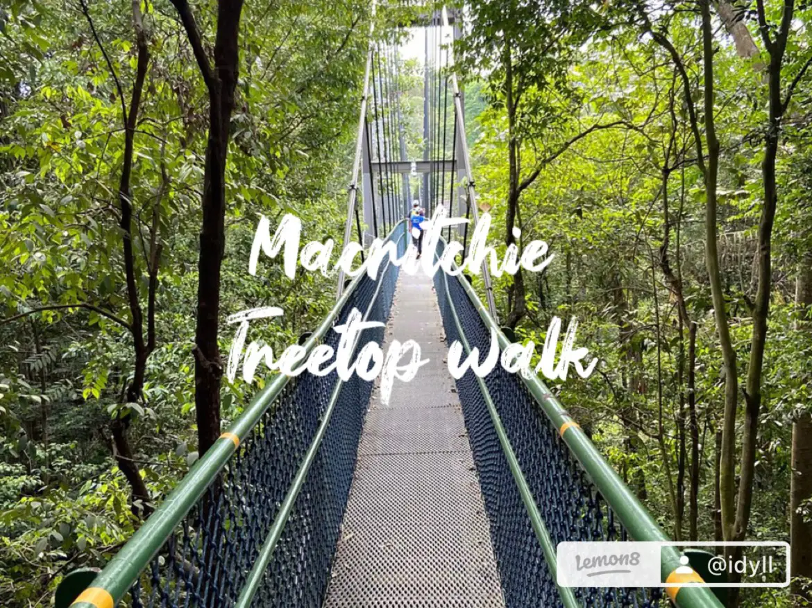 best walking trails in SG 😍🌴🌺's images(2)