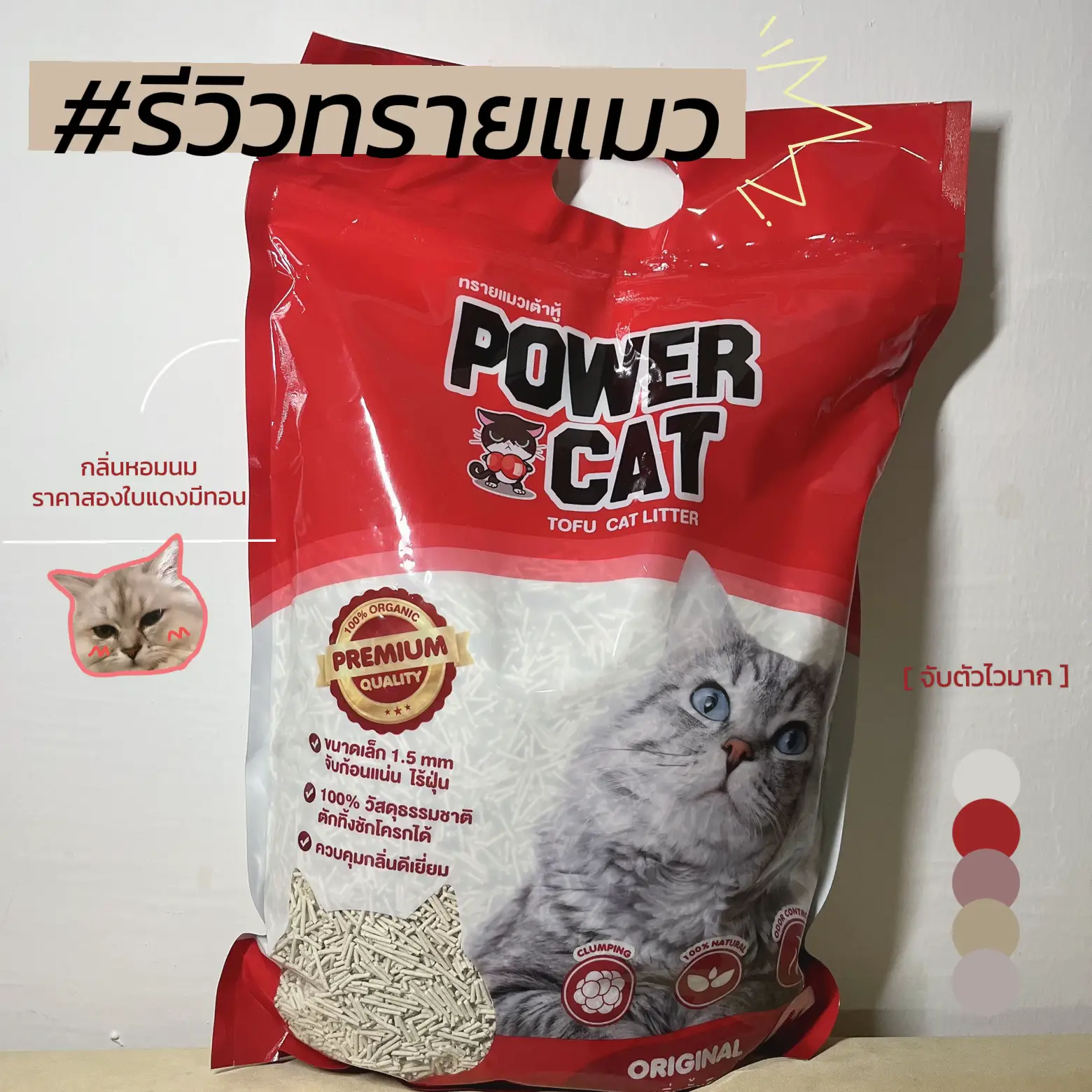 Power Cat Sand Review Gallery posted by NOAH AND NOEL Lemon8