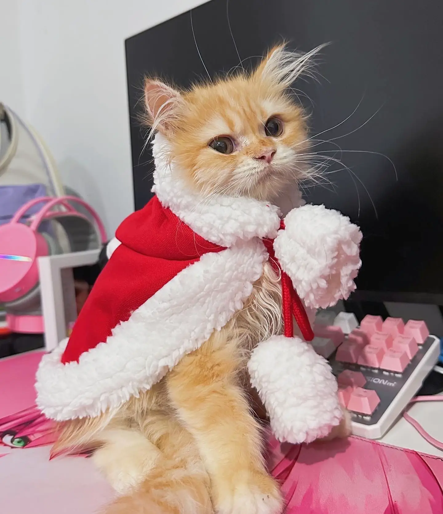 ☆サンタさんが可愛いXmas猫ちゃんイヤリング☆ ☆サンタさんとX'masネコちゃんイヤリング☆ サンタ・ザ・キャット 🎄🐱🎁