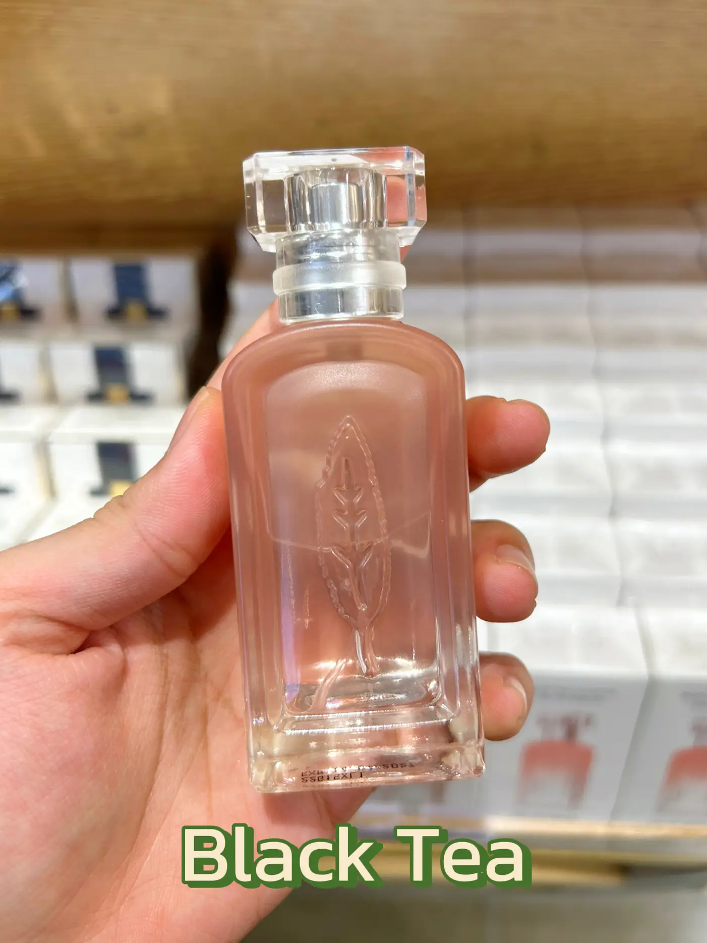 Miniso 2024 leo perfume