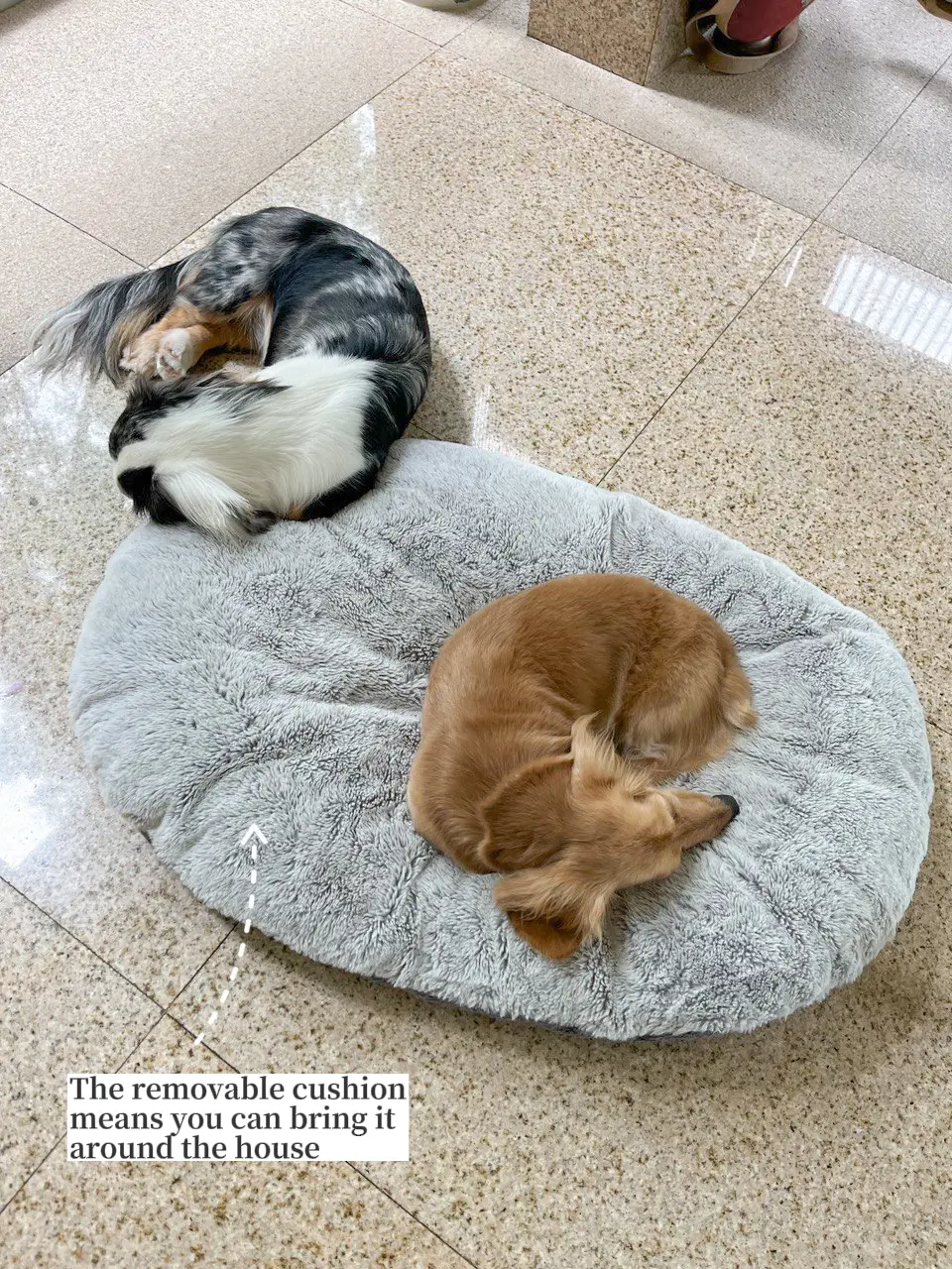 Is this the fluffiest dog bed ever? ☁️ | Gallery posted by