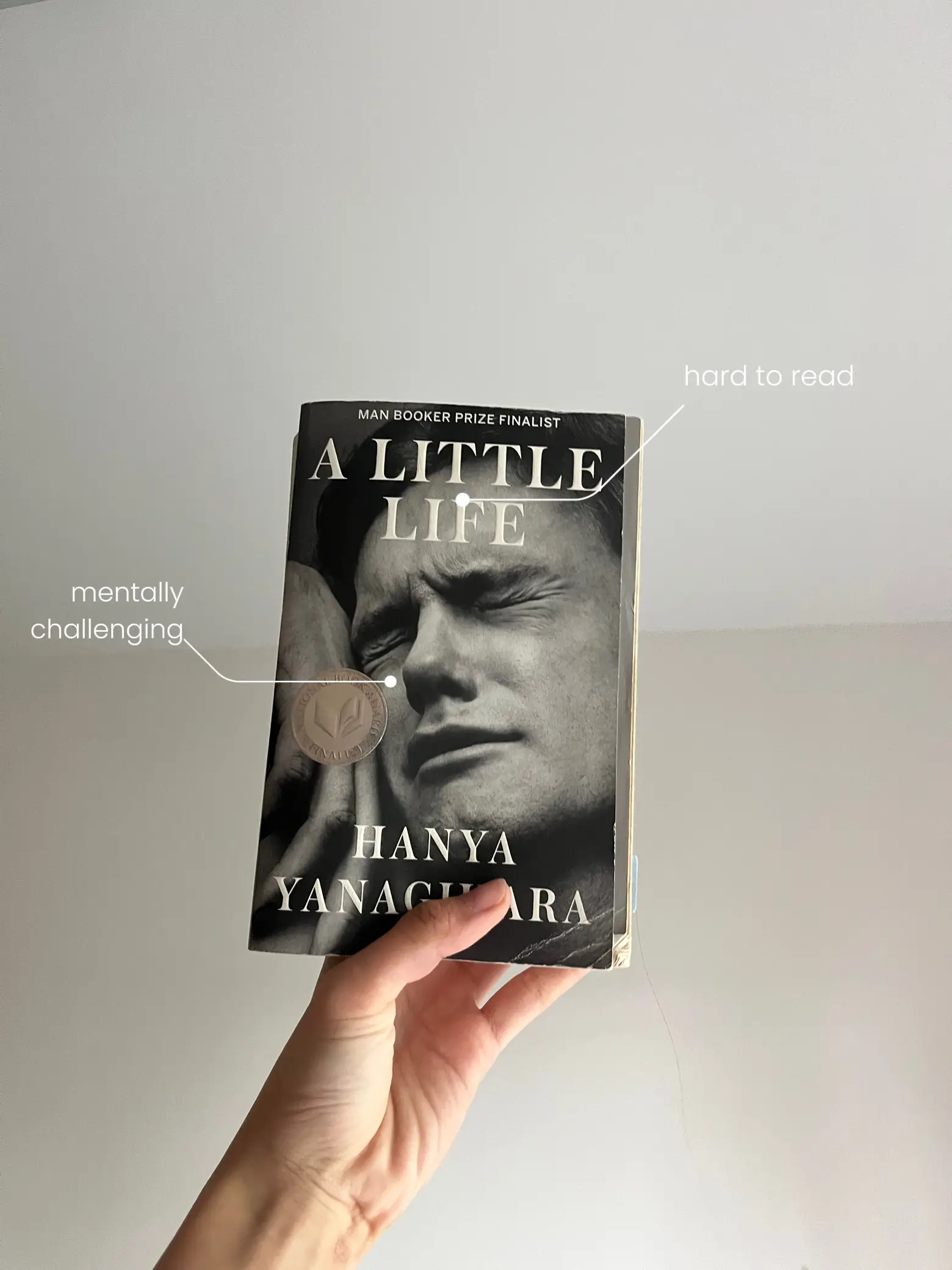 A Little Life by Hanya Yanagihara  Book Review – Of Books & Bookworms