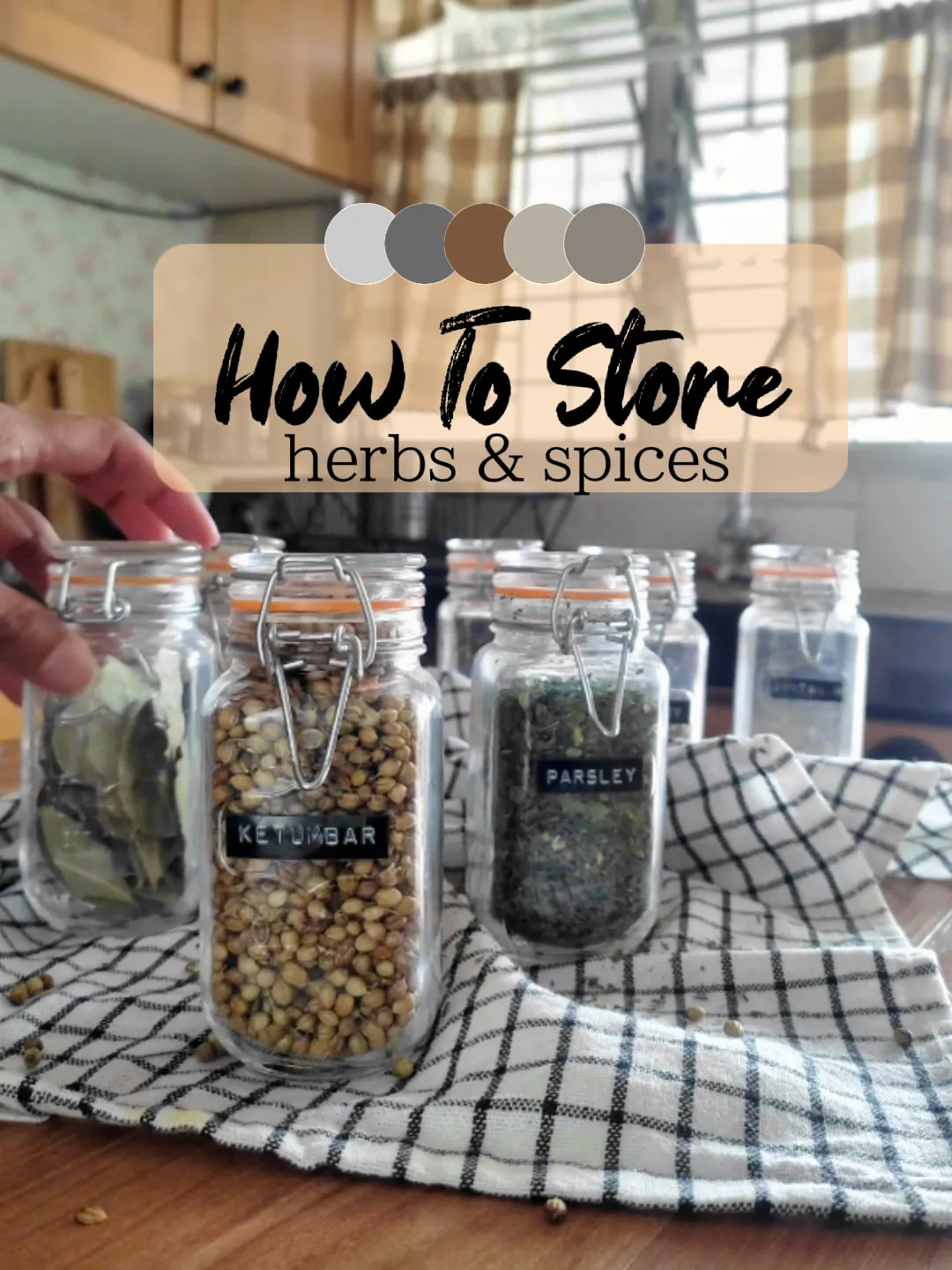 How to store dried herbs and spices