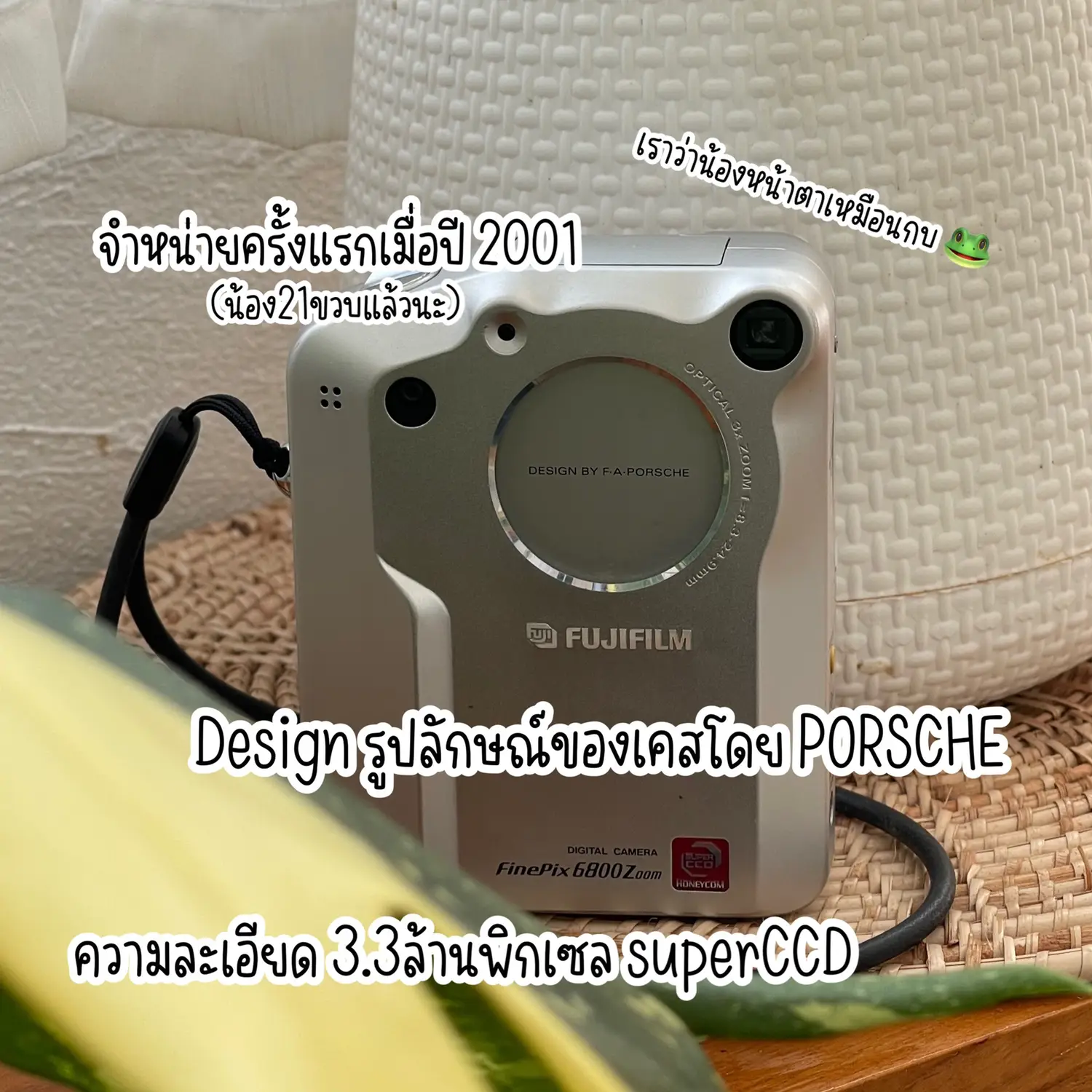 Old Digital Camera Review | Fujifilm Finepix 6800Z | Gallery