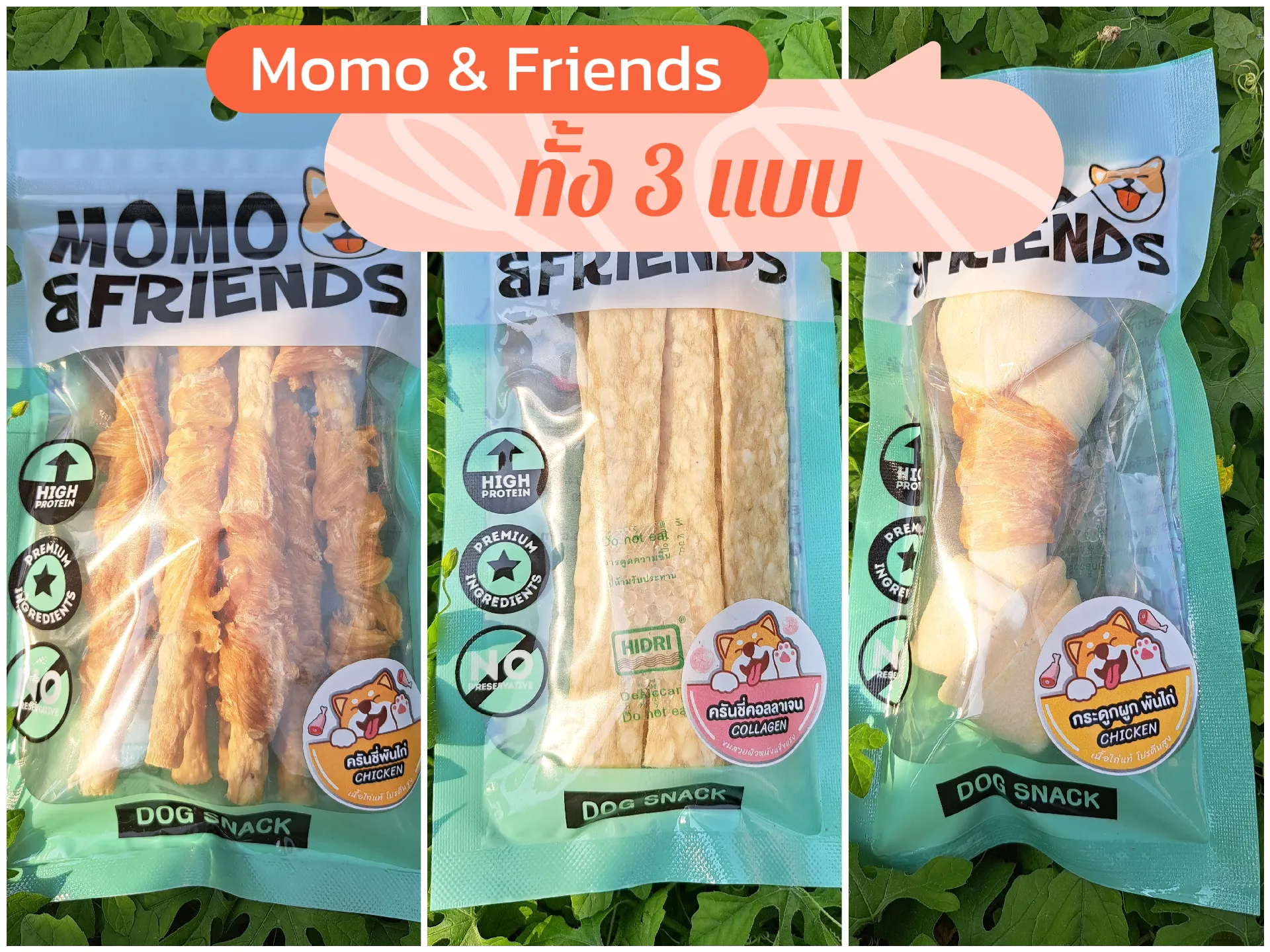 Good friends high protein dog outlet food