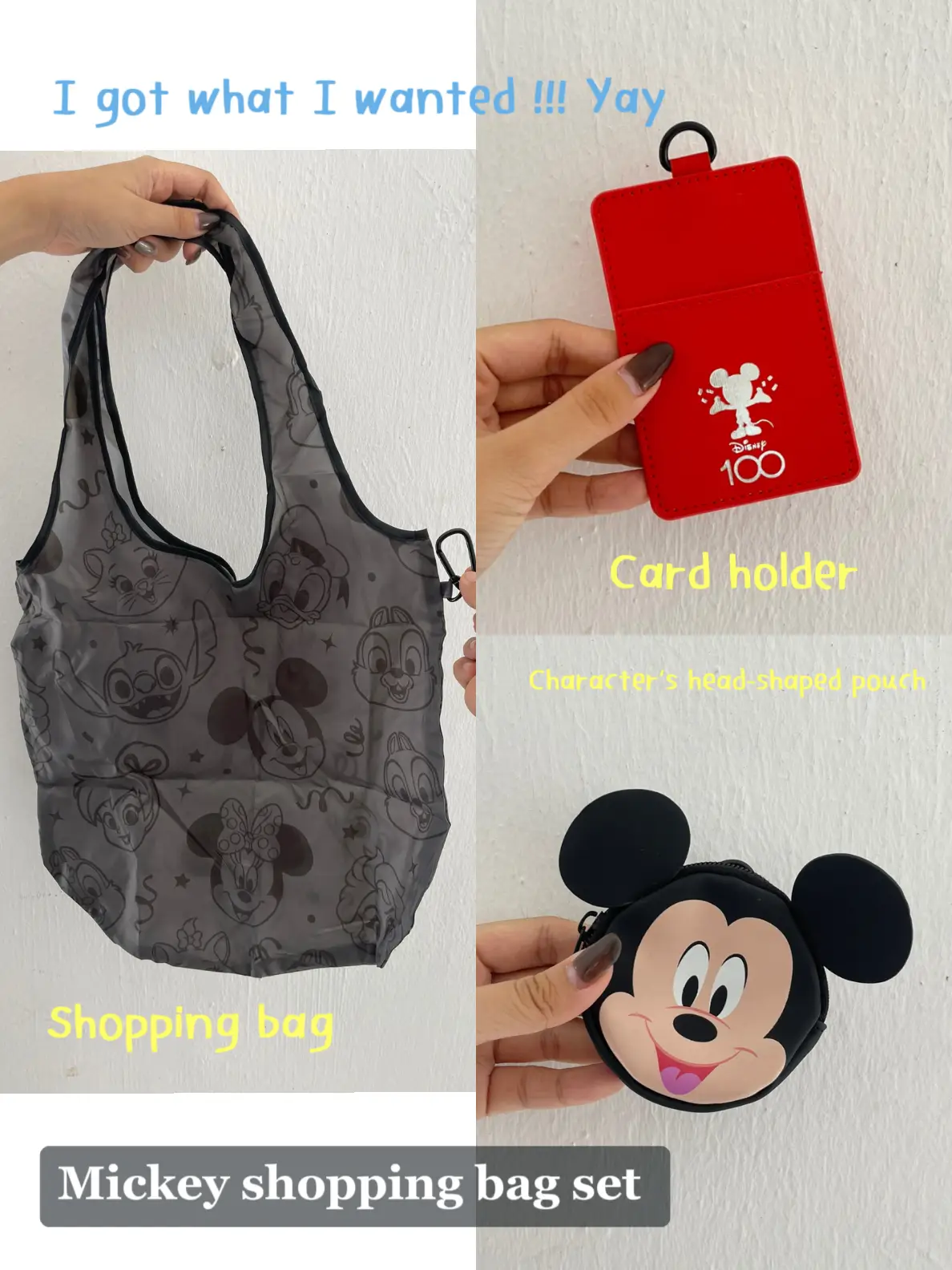 ❗️SOLD❗️DISNEYLAND HANDBAG outlet