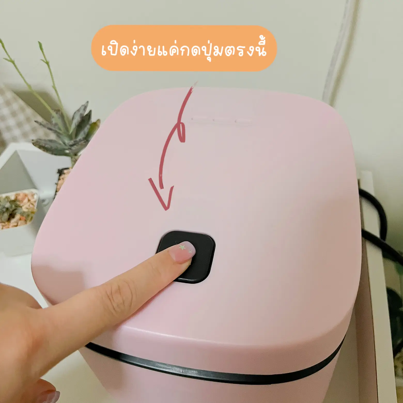 Mini Rice Cooker  Urban Outfitters Singapore