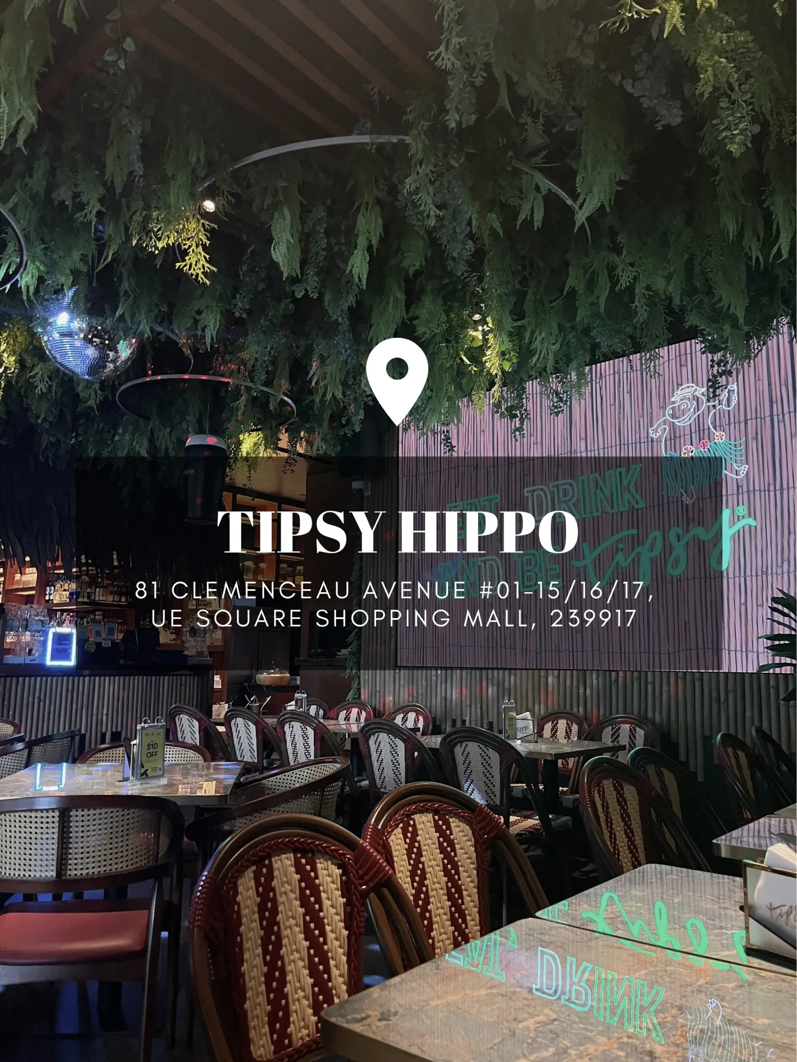 food deals in Tipsy Hippo - Lemon8 Search