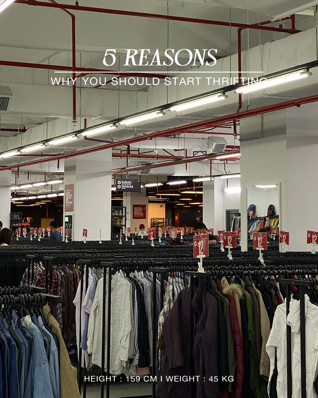 5 Reasons Why You Should Start Thrifting  's images(0)