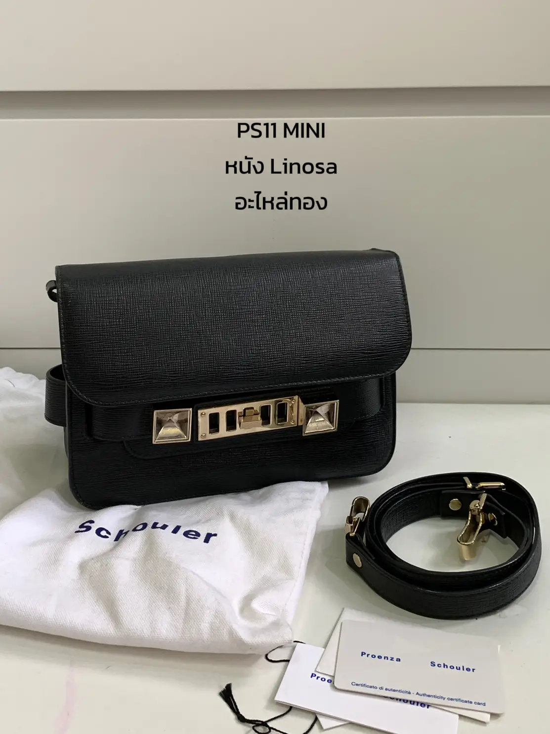 Ps1 Micro Bag Proenza Lemon8