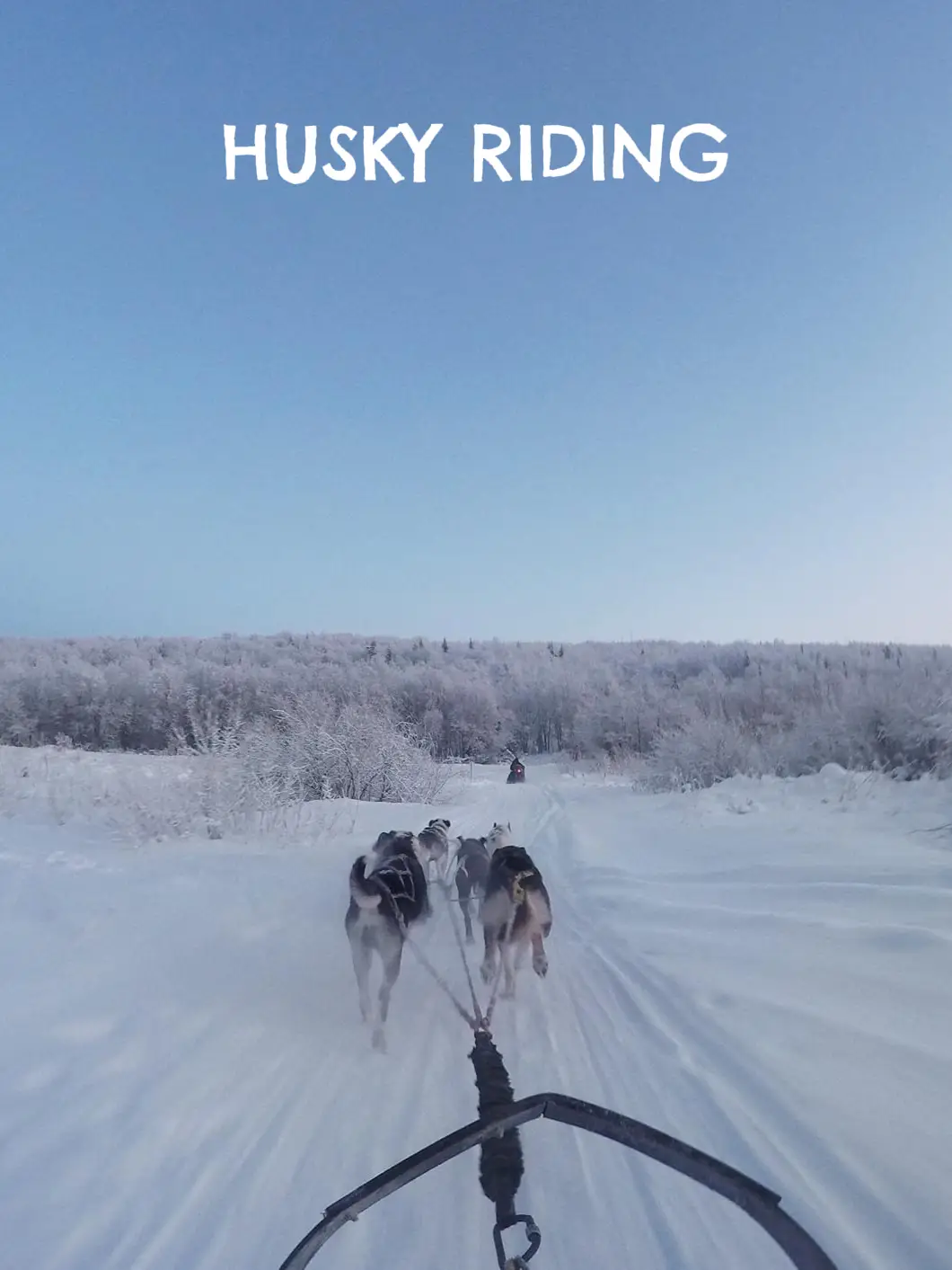 🇷🇺 ล่าแสงเหนือ รัสเซีย 💚 ขี่Husky ขับSnowmobile | แกลเลอรีที่โพสต์โดย ...