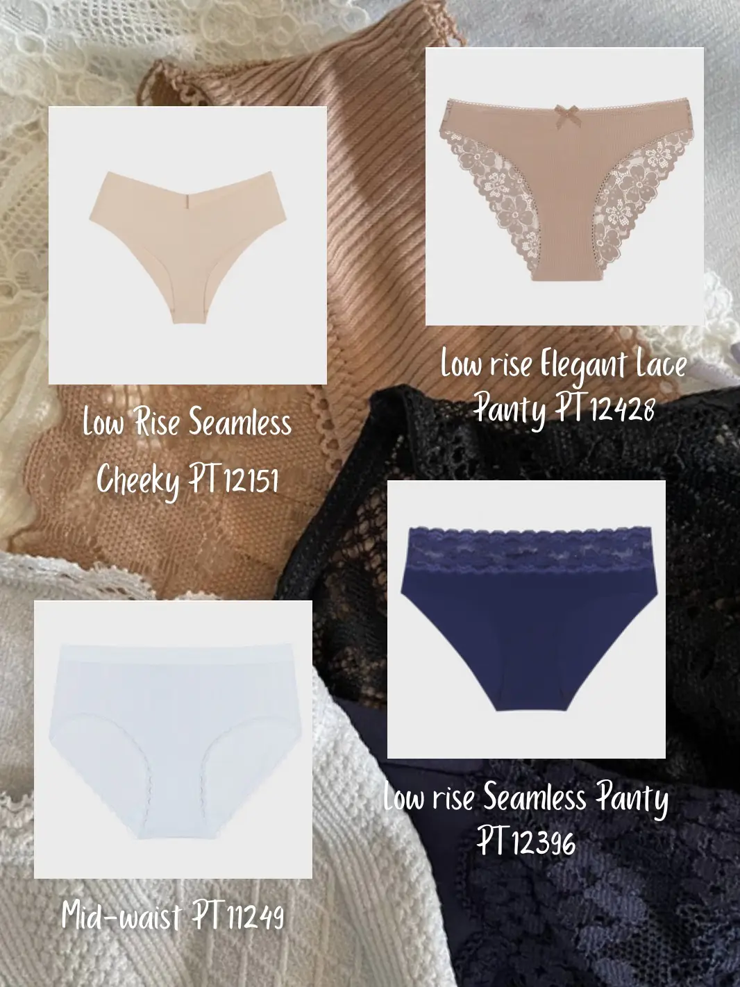 Buy N-Gal Women's Erotic Lace See Through Mid Waist Underwear Lingerie  Knickers Brief Panty - Blue Online