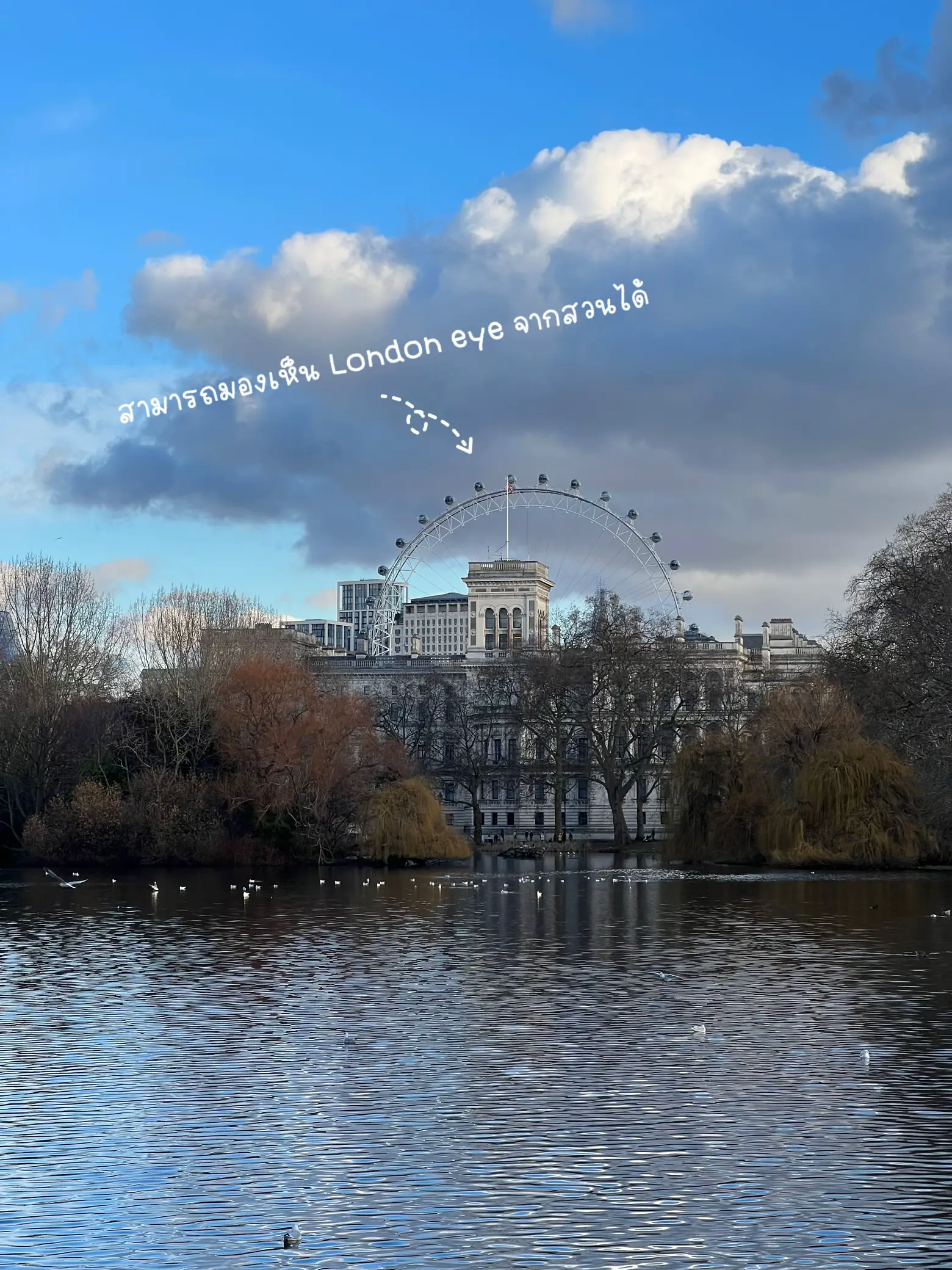 イギリスのレビュー28:セント・ジェームズ・パーク・セントラル・ロンドン・ガーデン  🌳🌞 | Lookmu.が投稿したフォトブック |  Lemon8