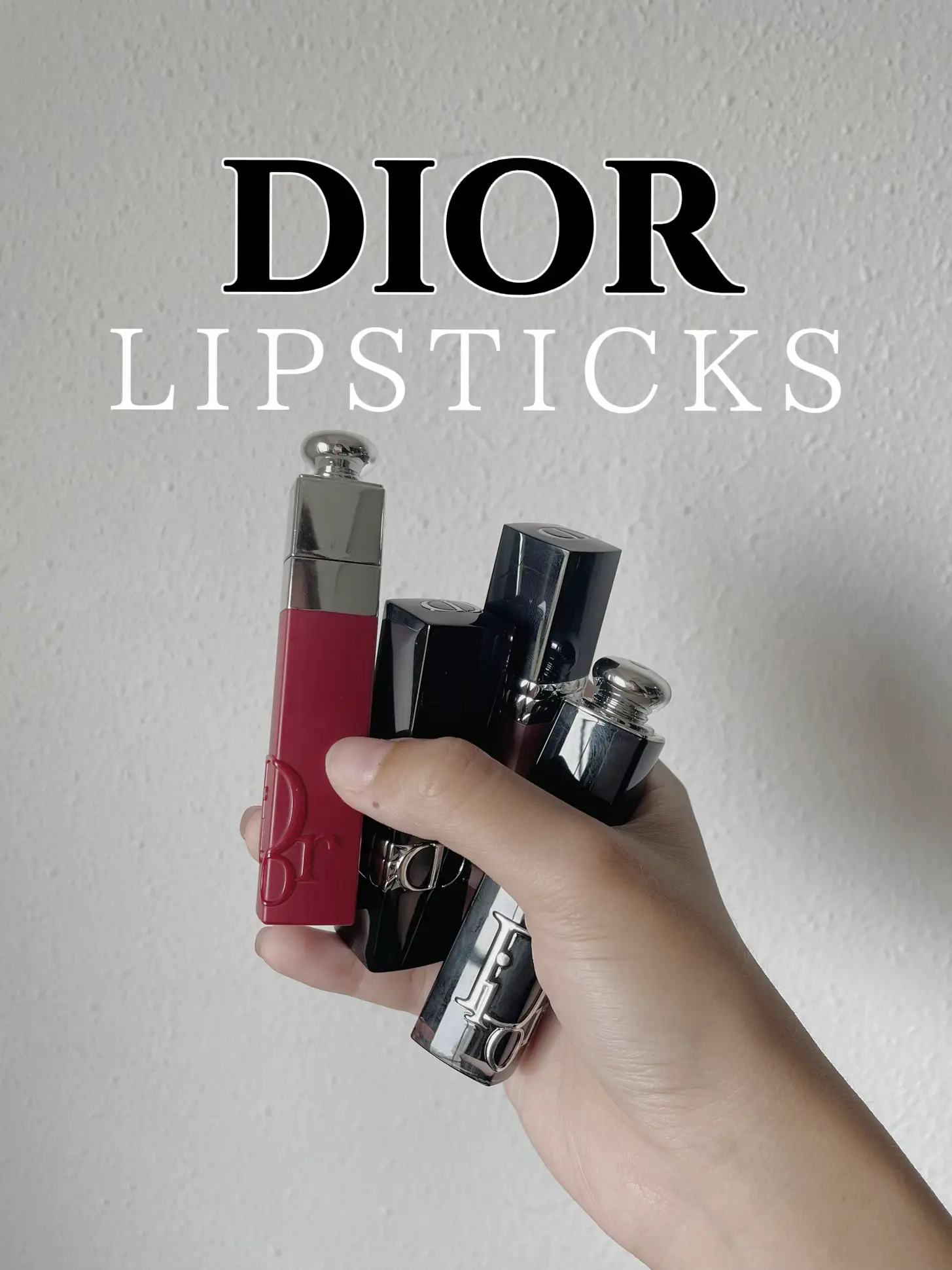 Dior 456 2024