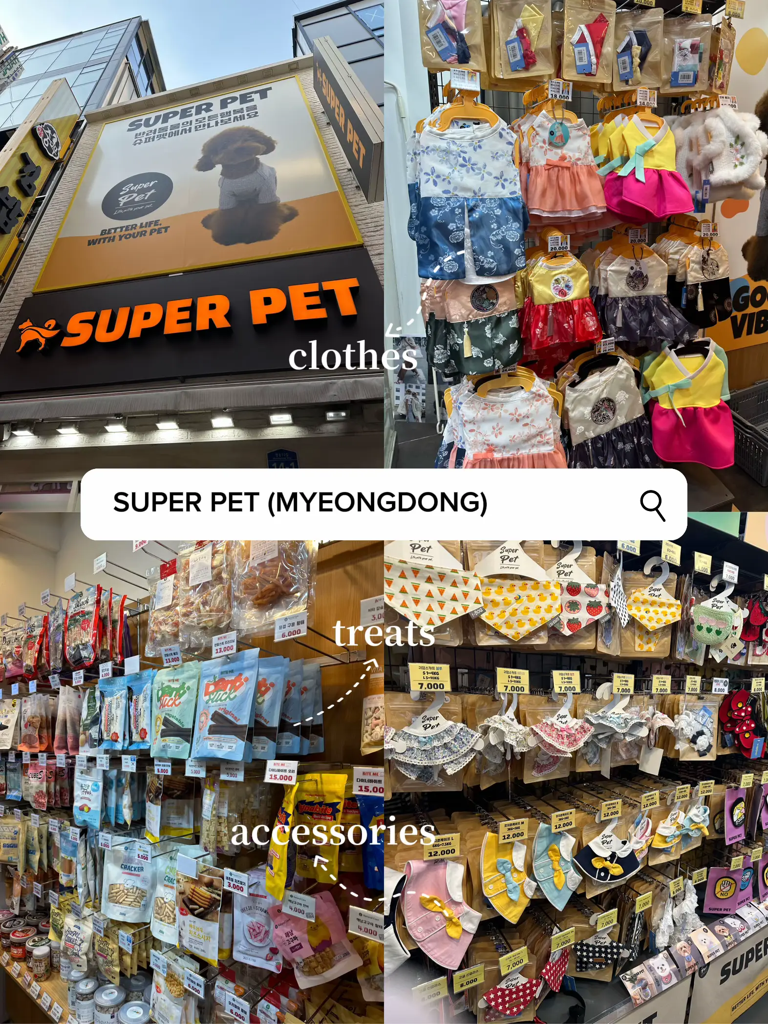 seoul MUST GO places for pet owners Gallery posted by jing