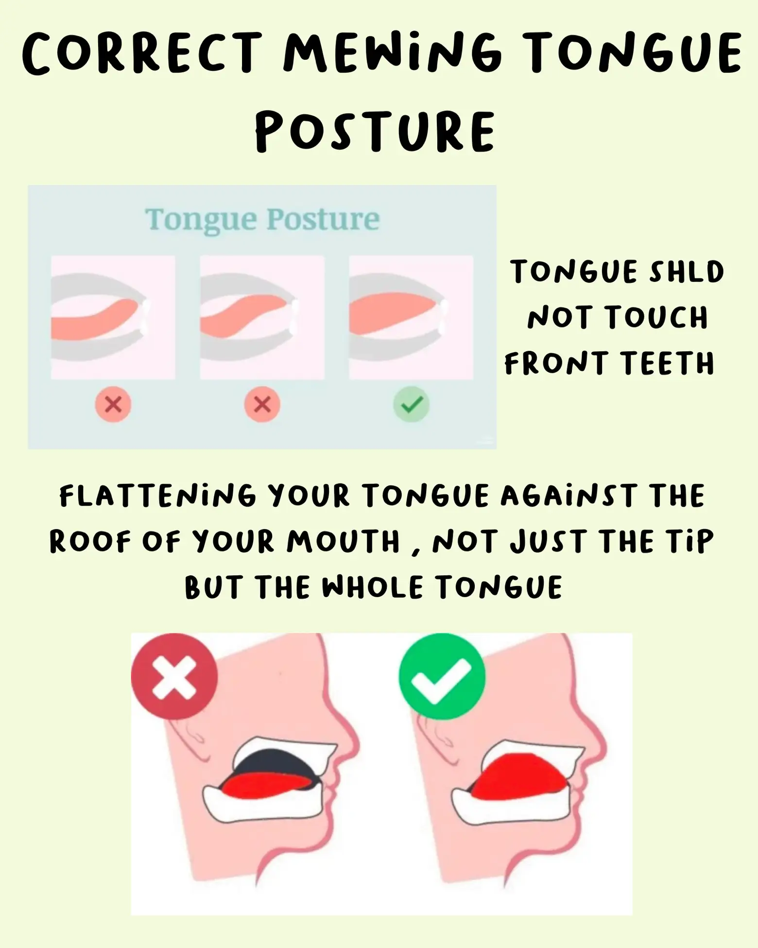 How To Mew Properly & What is Mewing: Tongue Posture For a Better Jawline  in 2023