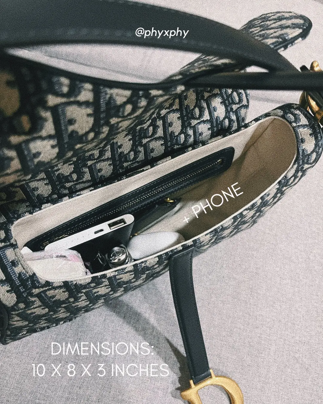 Christian dior discount saddle bag inside