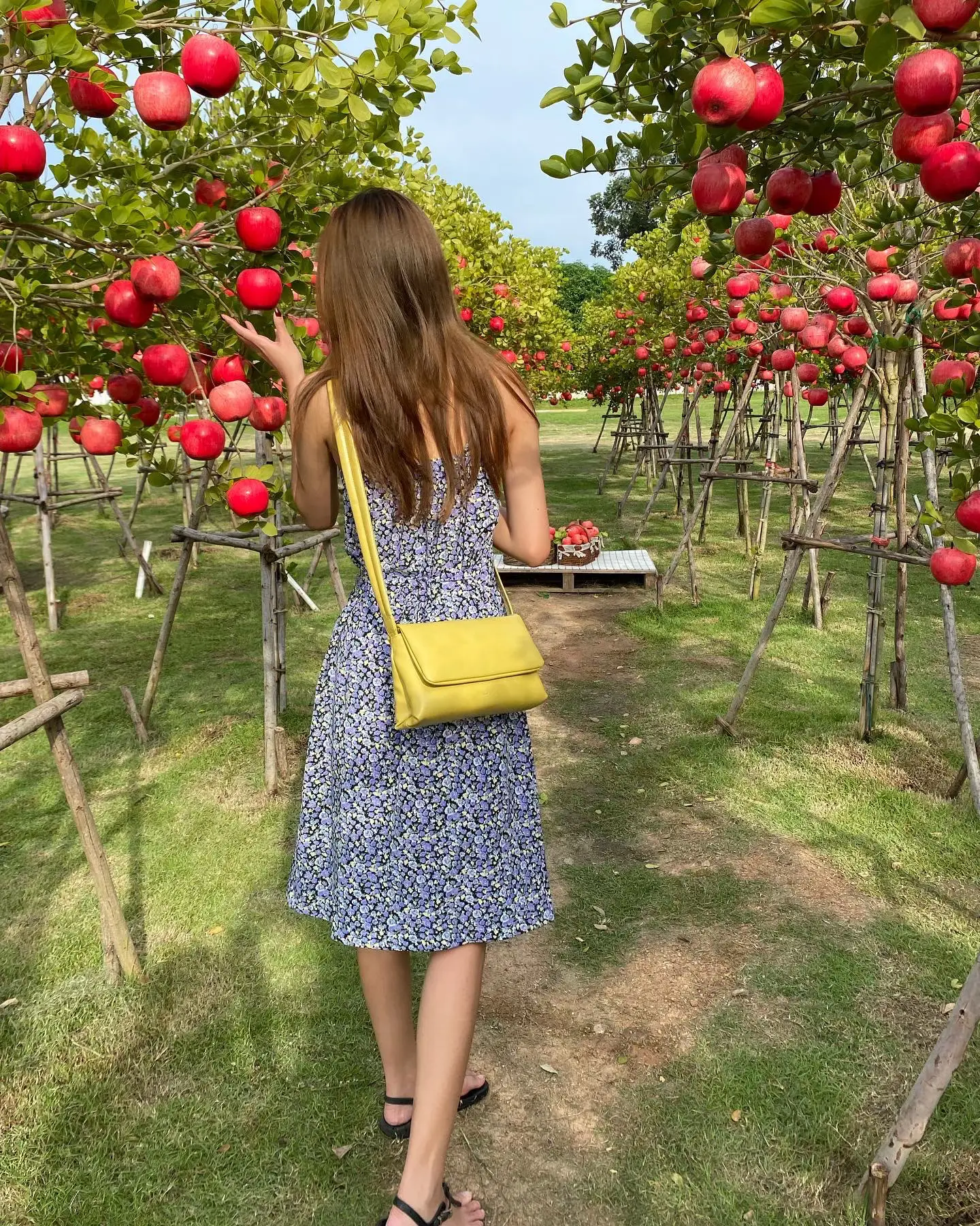 Stand oil fluffy mini กระเป๋าเกาหลีมาแรง2022 แกลเลอรีที่โพสต์โดย