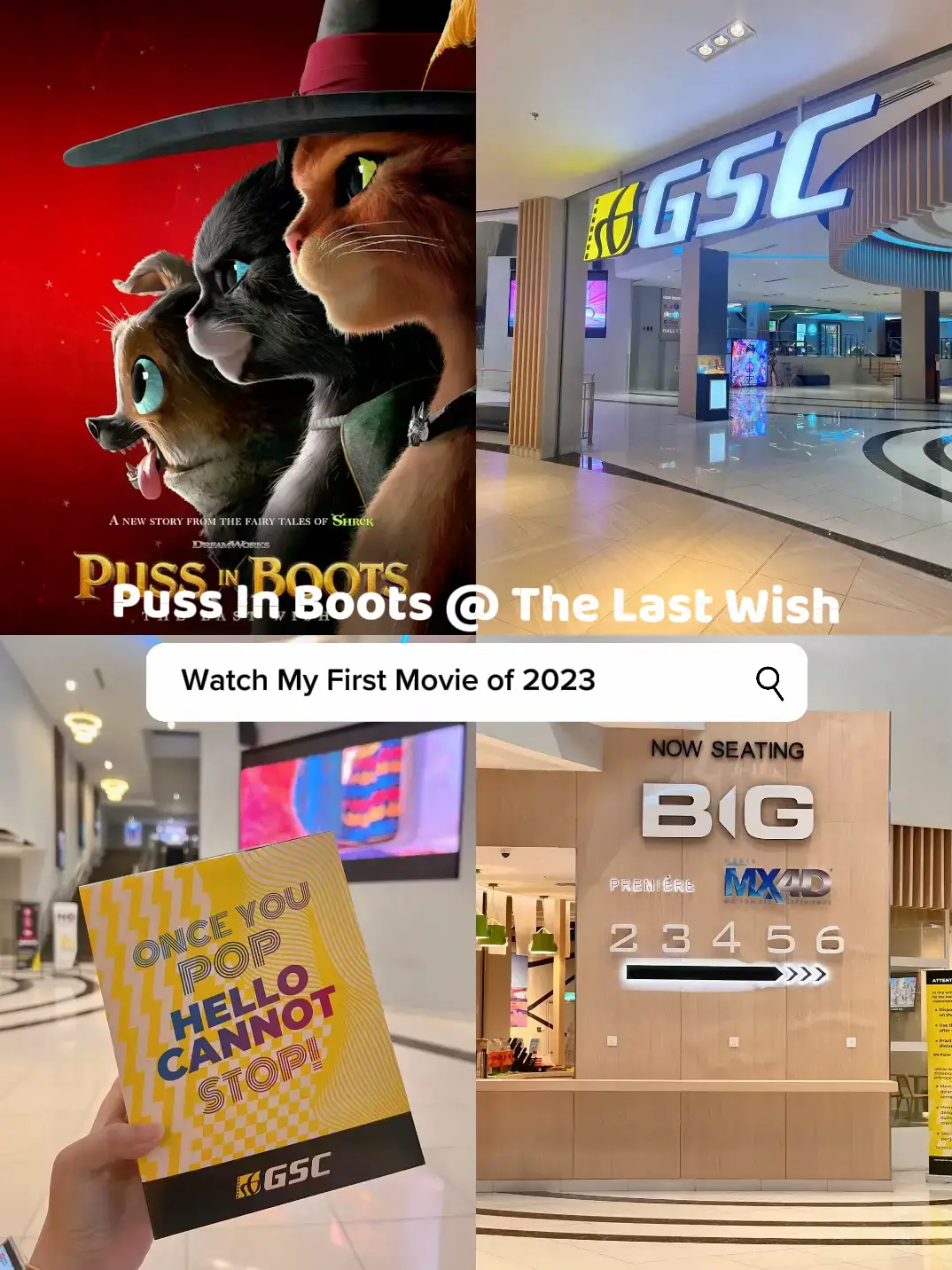 Puss In Boots The Last Wish @ GSC Cinema🍿️ | Gallery posted by Caris |  Lemon8