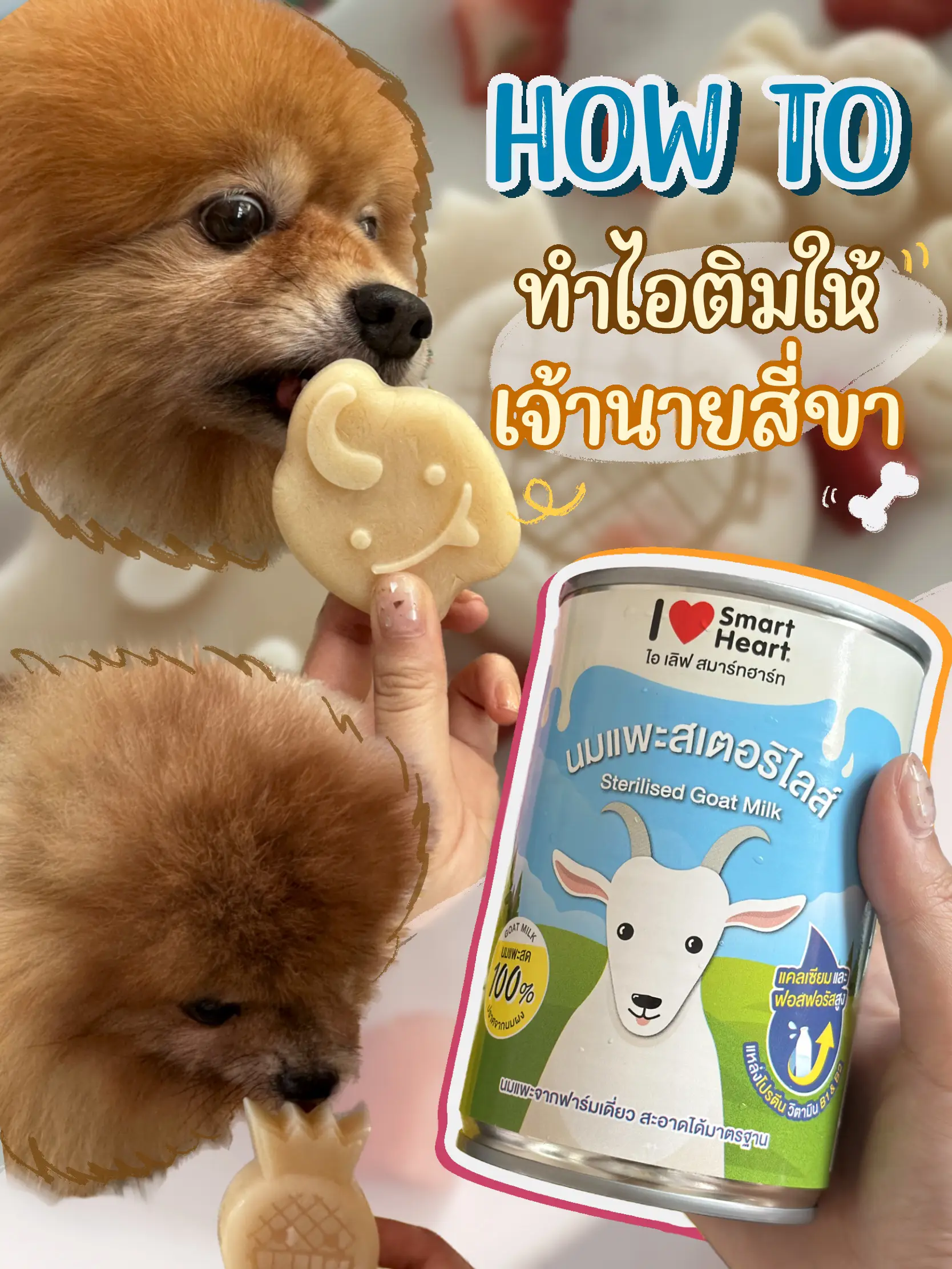 How to 🍧 make hot ice cream for the dog 🐾 | Gallery posted by Nnuttp 🤍 ...