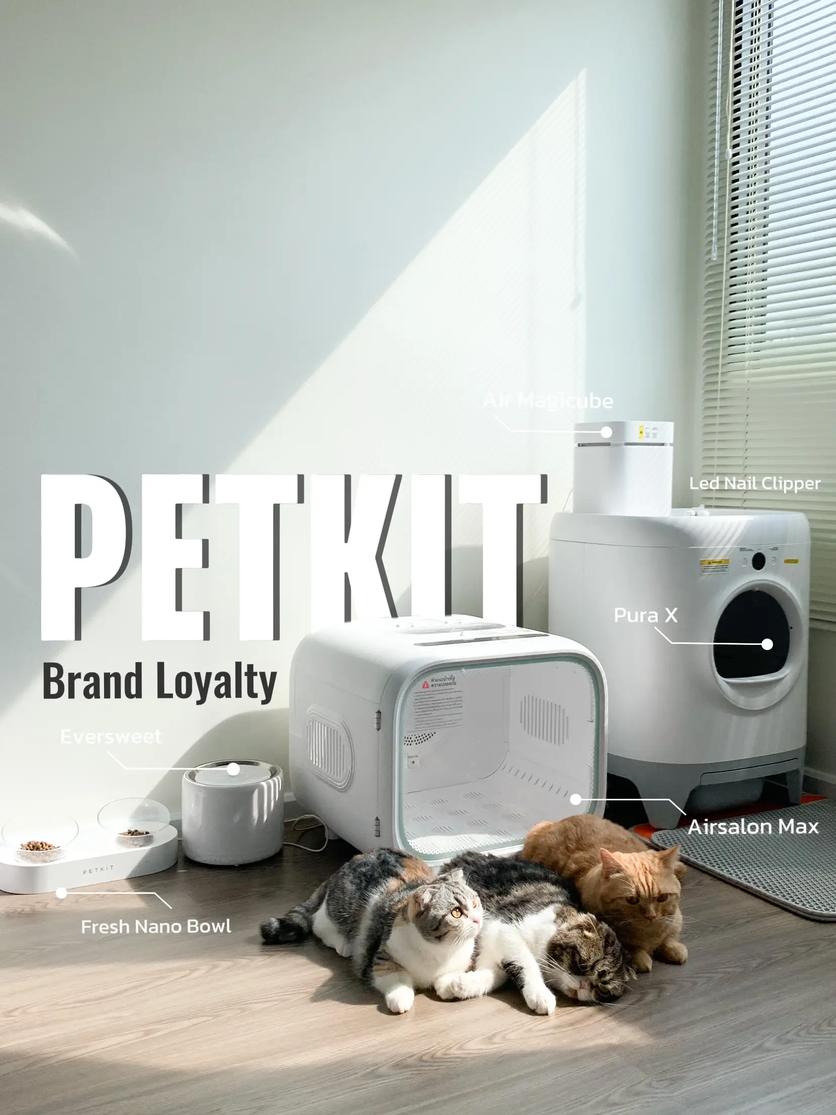 PETKIT ドライハウス AIRSALON MAX - 猫用品