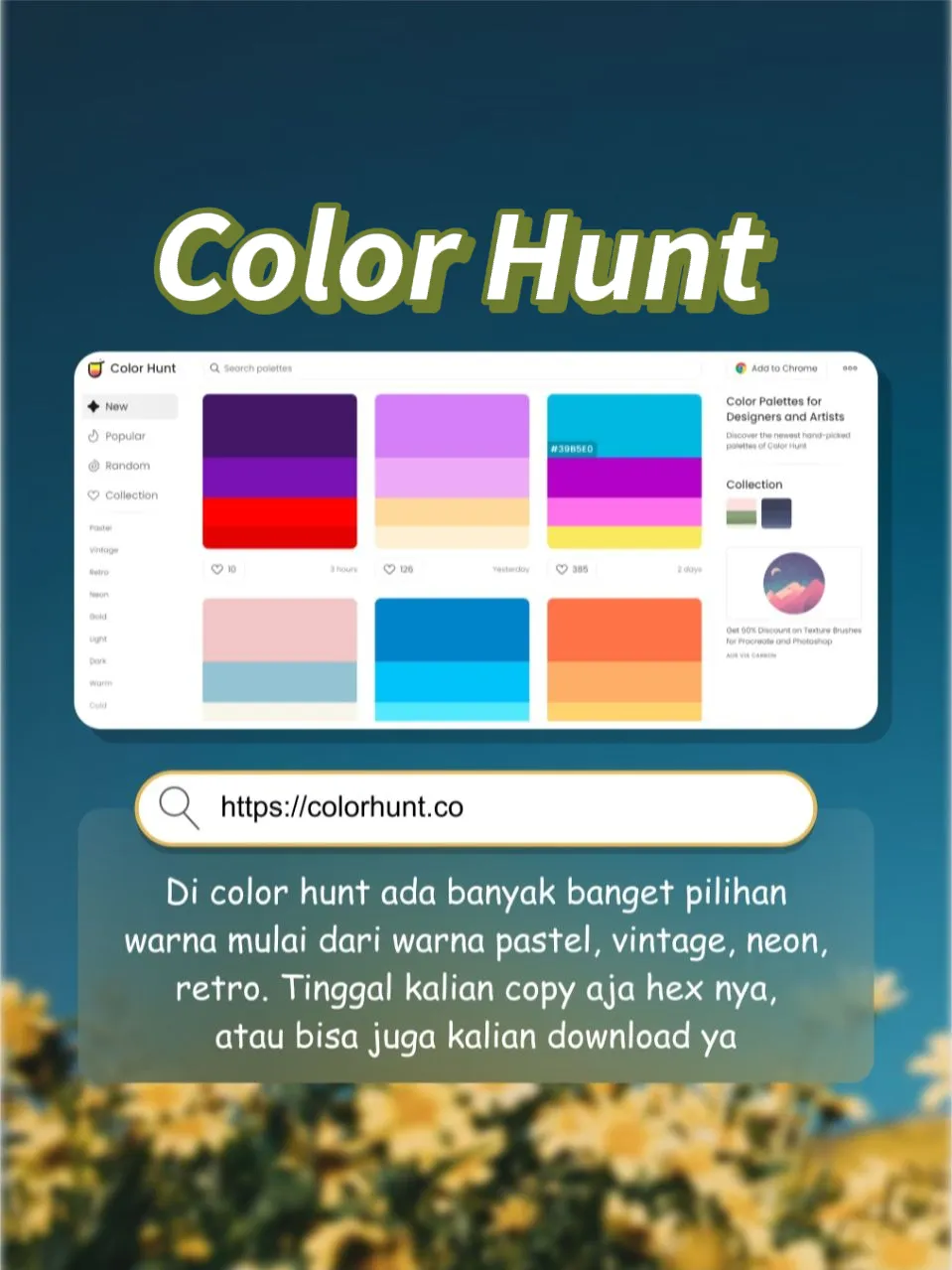 Color Palettes for Designers and Artists - Color Hunt