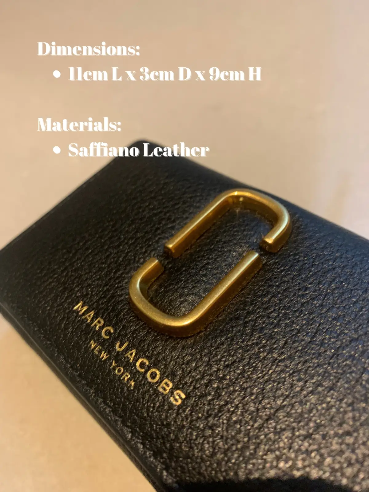 Bag Review: LV Damier, Gallery posted by Amanda Nachila