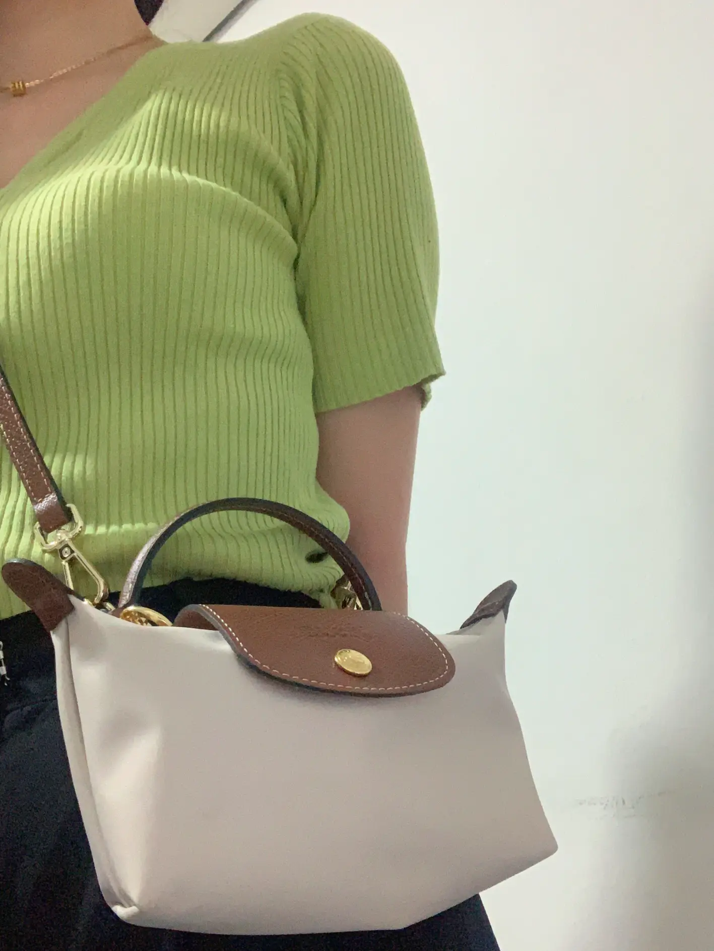GETTING THE VIRAL MINI LONGCHAMP? 💼💸, Gallery posted by germaine 🪷