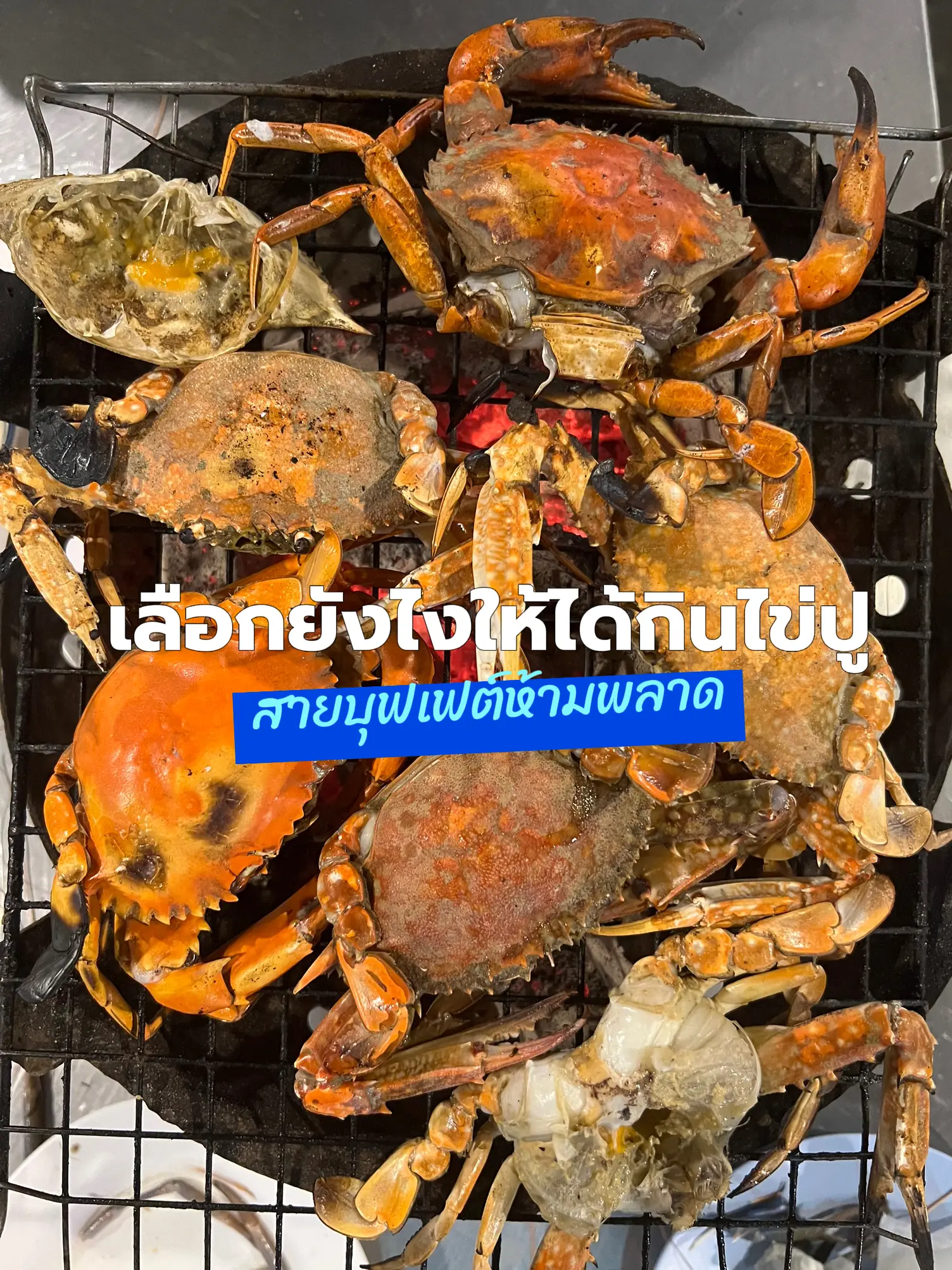 เลือกยังไงได้กินปูมีไข่ 🦀 | แกลเลอรีที่โพสต์โดย SANDEE LIKEACAT | Lemon8