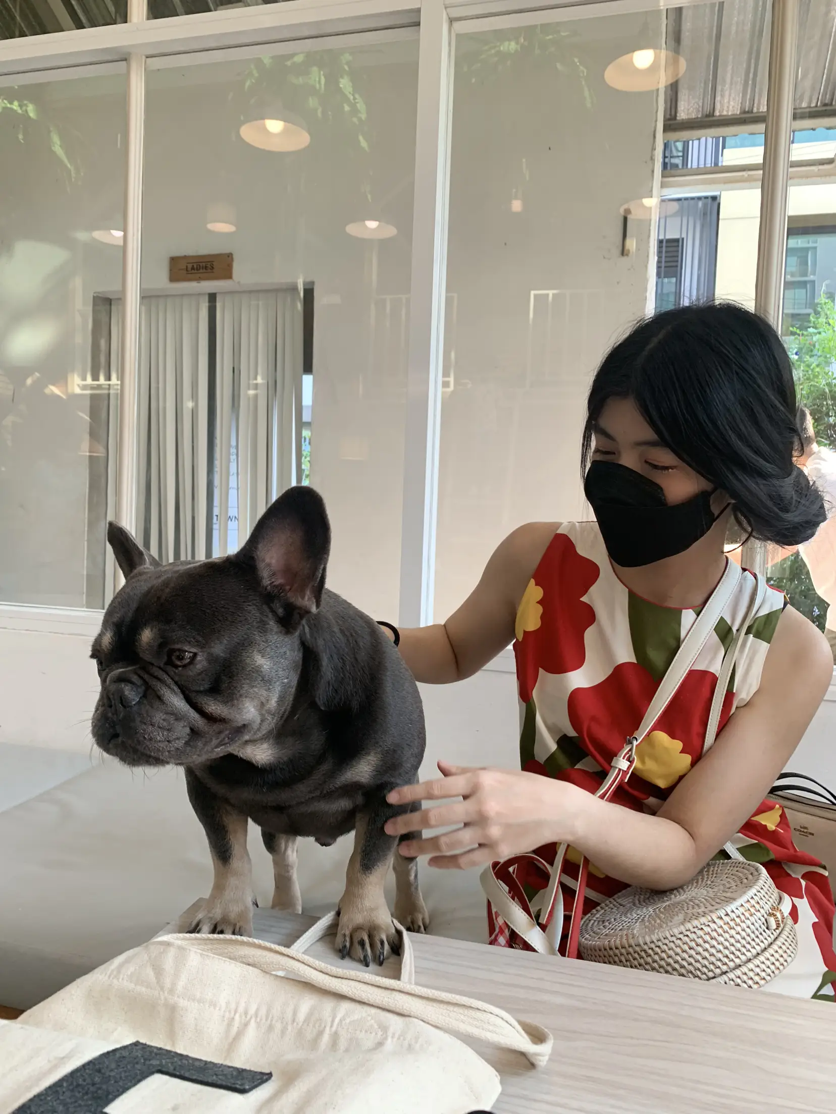 DOG IN TOWN犬好きにはたまらない置く。 🐶💖 | chansida 🦋⭐️が投稿したフォトブック | Lemon8