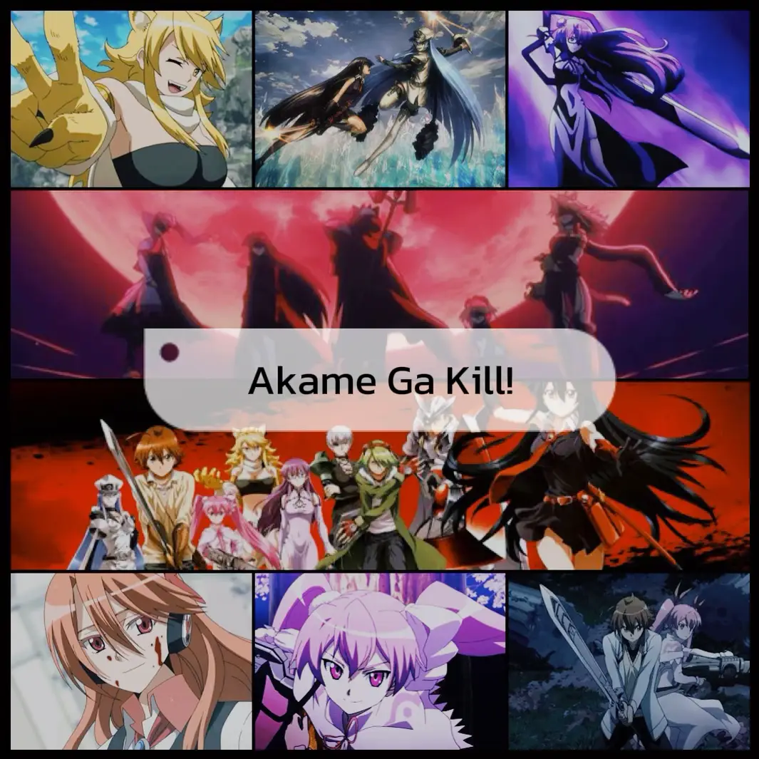 Otaku's Universe: Akame ga Kill ! - Anime Review