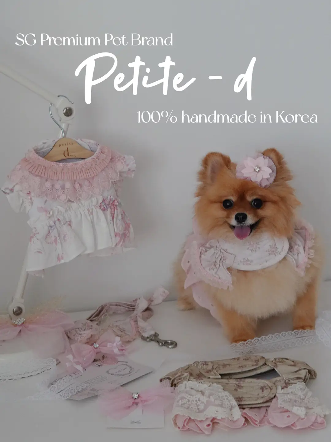 Korean dog outlet clothing brand