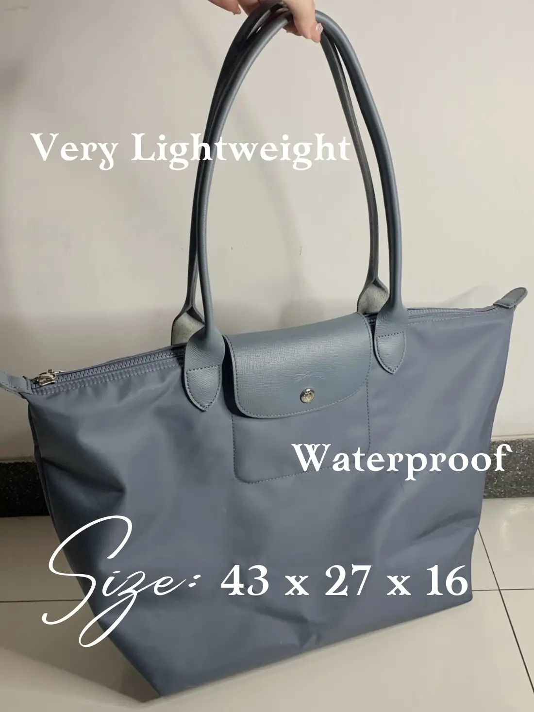 Review And What Fits, Longchamp Le Pliage Neo XS