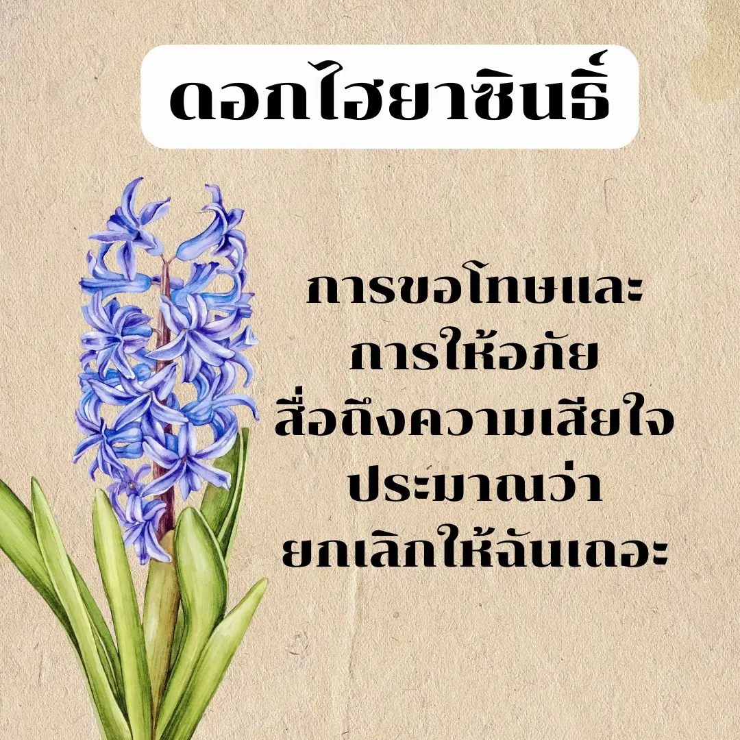 Daffodils Flower Meaning In Tamil Best Flower Site