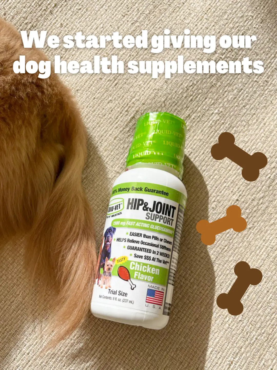 Best joint supplement top for dachshunds