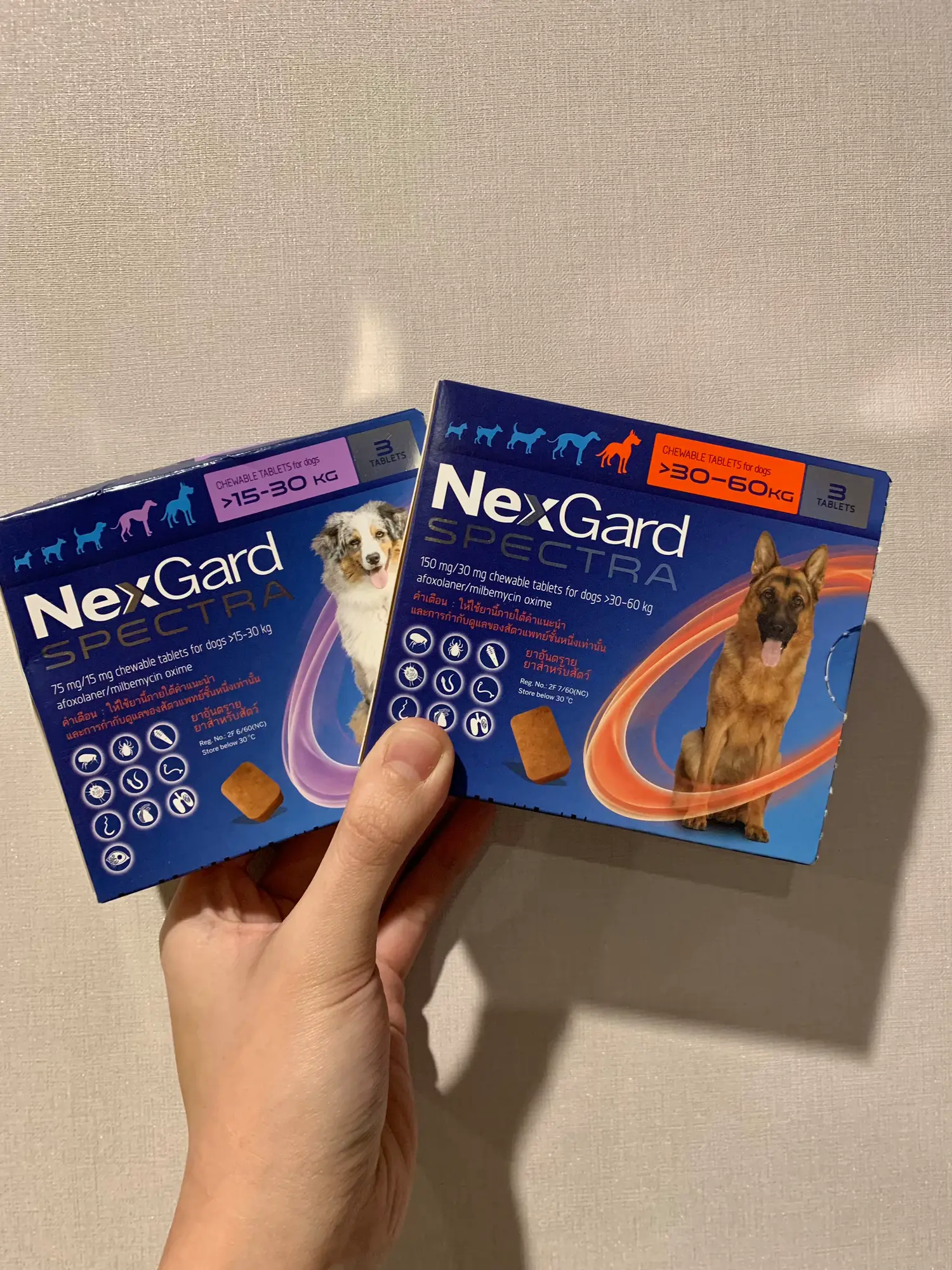 Nexgard spectra for dogs anti-tick medicine dog chewing type, Gallery  posted by พ่อหมารีวิว