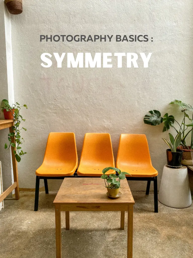 What is Aesthetic Photography? Understanding the Basics.