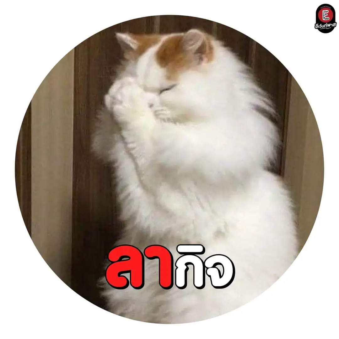 ลางานจ้ะ | แกลเลอรีที่โพสต์โดย ถูกต้อง💋 | Lemon8