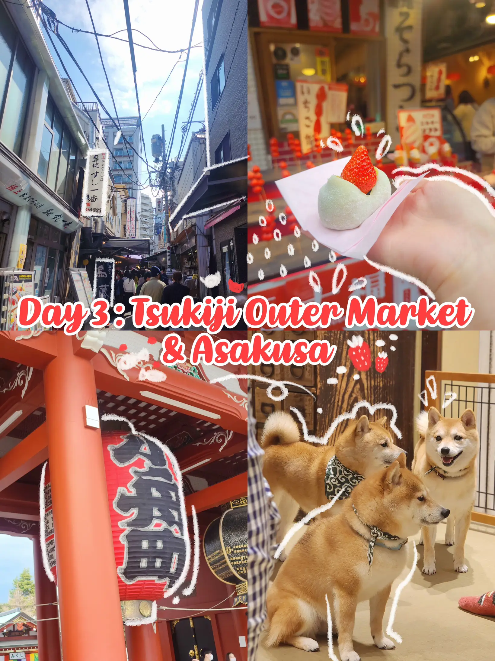 🇯🇵 What I did in Tokyo, Japan 🌊's images(3)