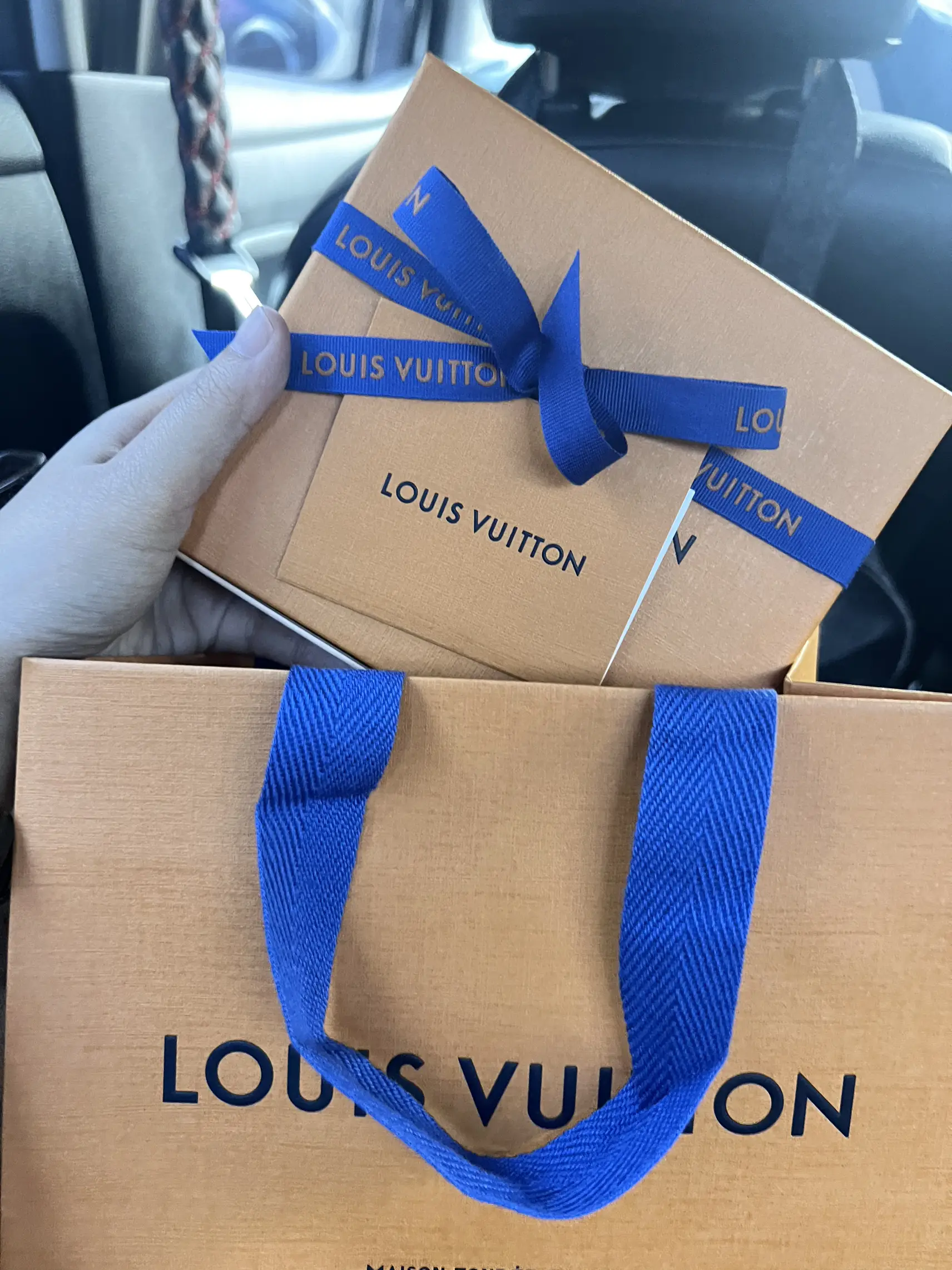 Louis Vuitton Neverfull MM Cherry Bag Unboxing 