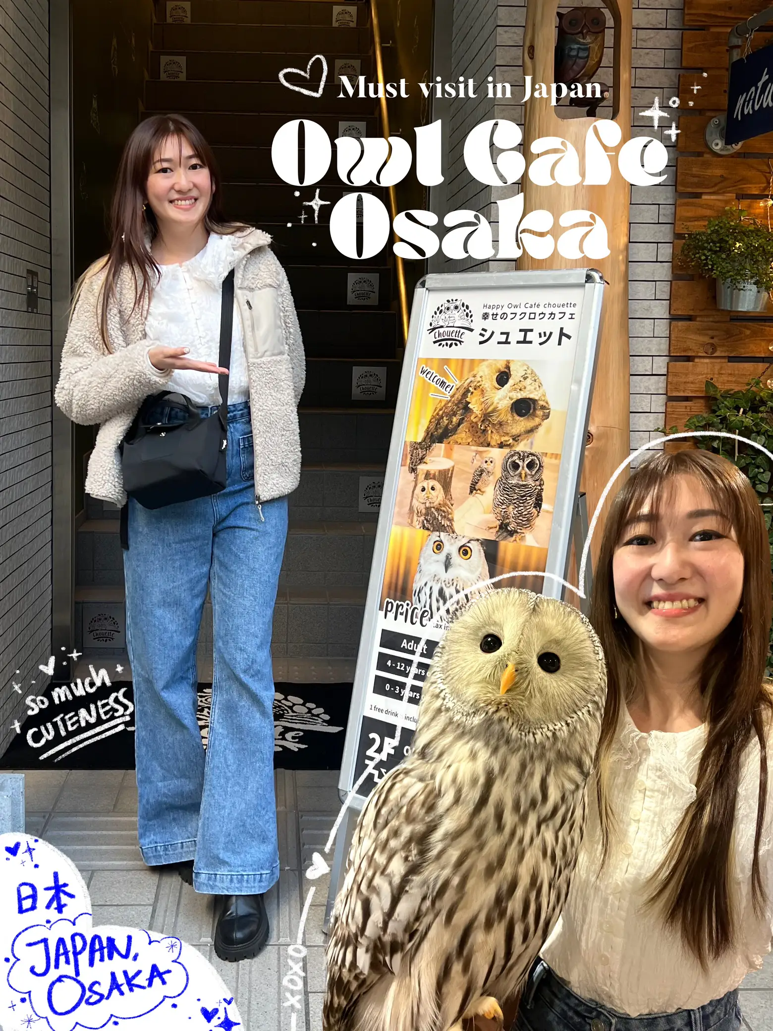 Happy Owl Cafe Chouette - All You Need to Know BEFORE You Go (with Photos)