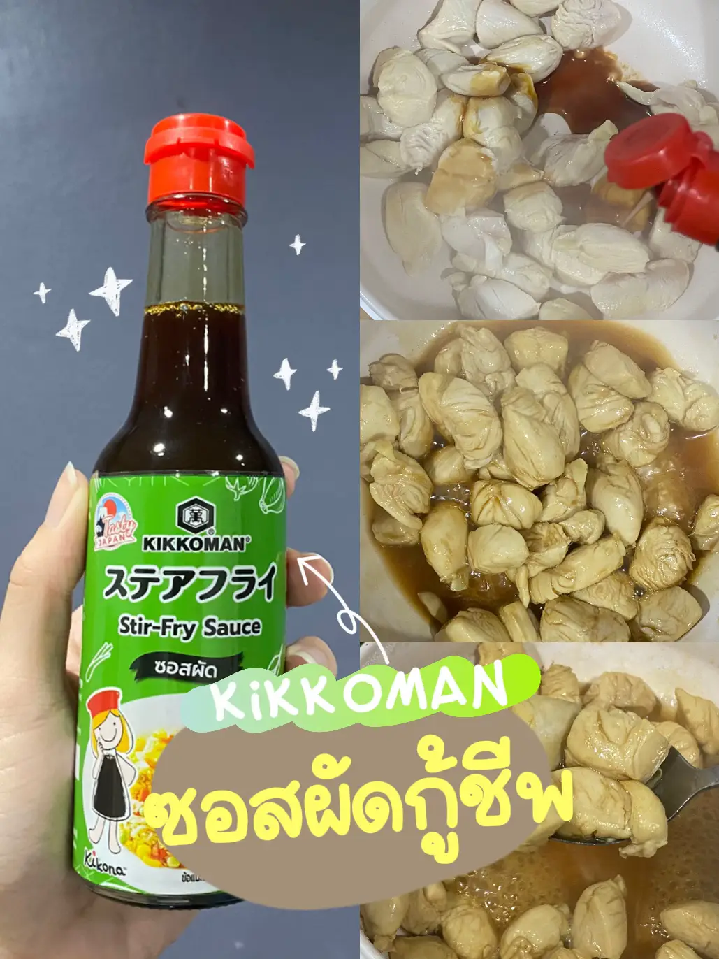 Kikkoman Stir Fry Sauce Copycat Recipe Bryont Blog