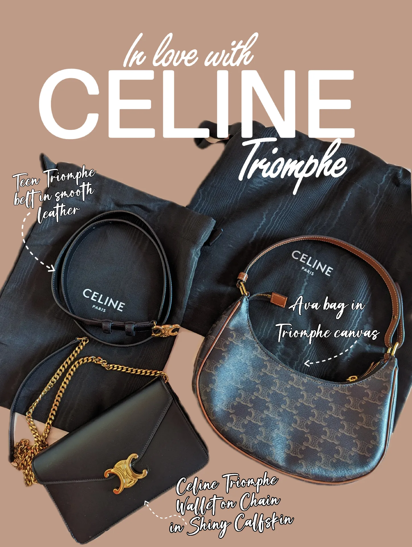 my CELINE Triomphe collection 💸, Gallery posted by sharmoneyx💃