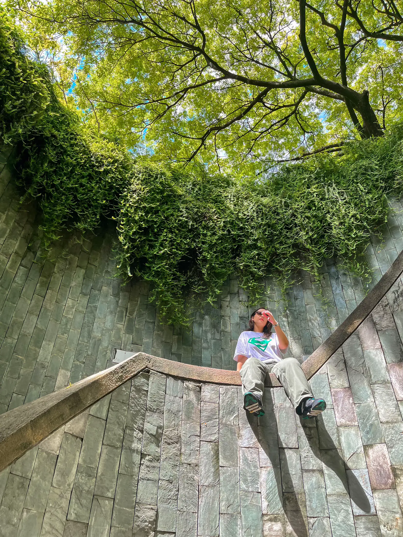 Image Traveller's tree (Ravenala madagascariensis), Fort Canning Park,  Singapore - 434261 - Images of Plants and Gardens - botanikfoto