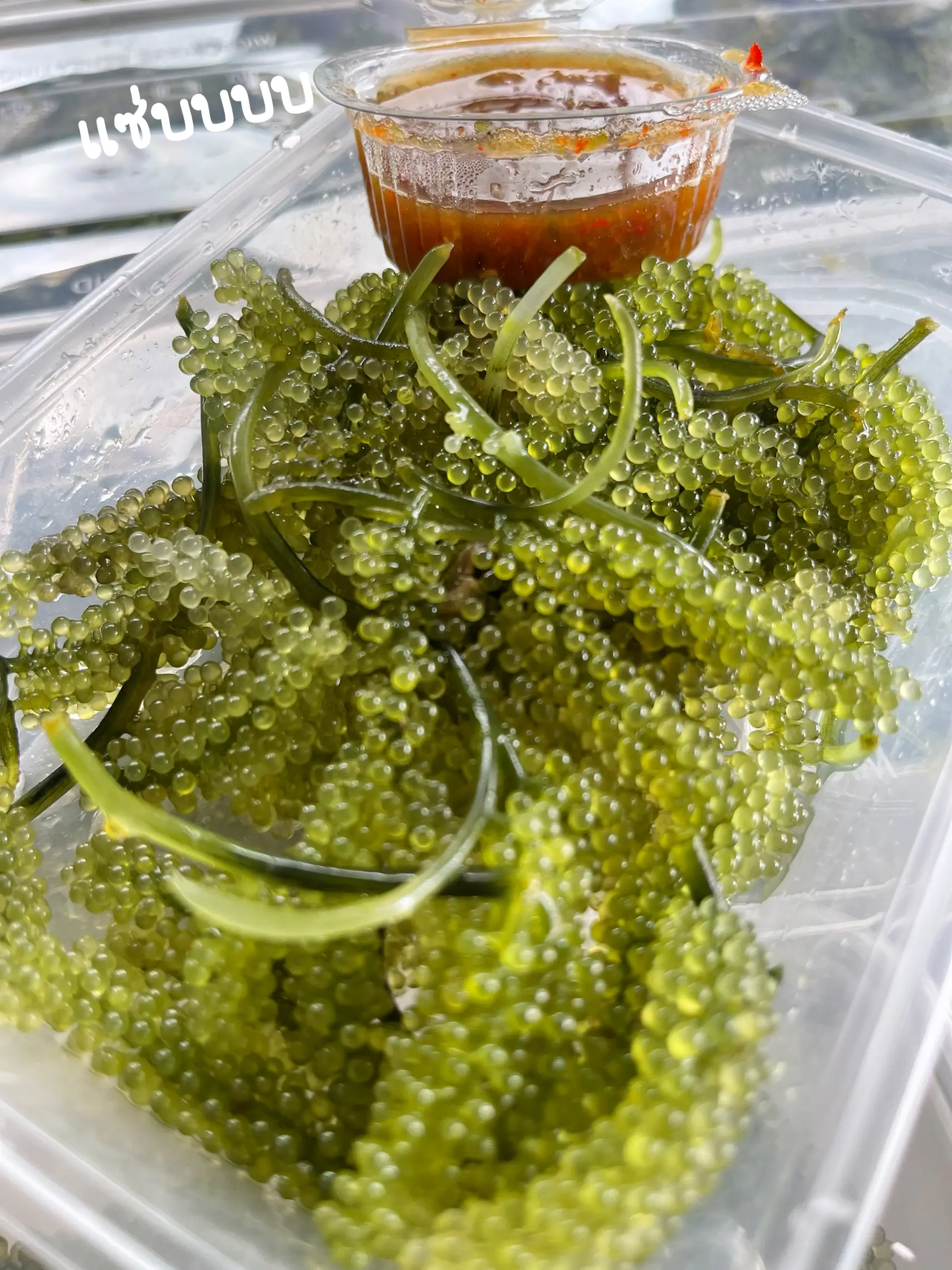 Pickled food - Lifesum