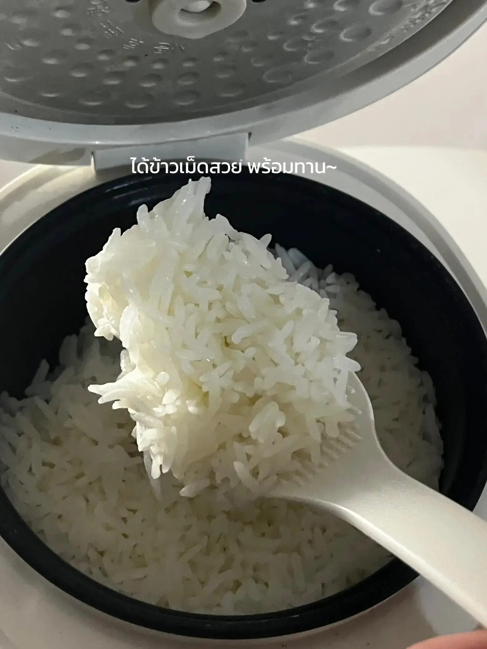 Tower rice online cooker