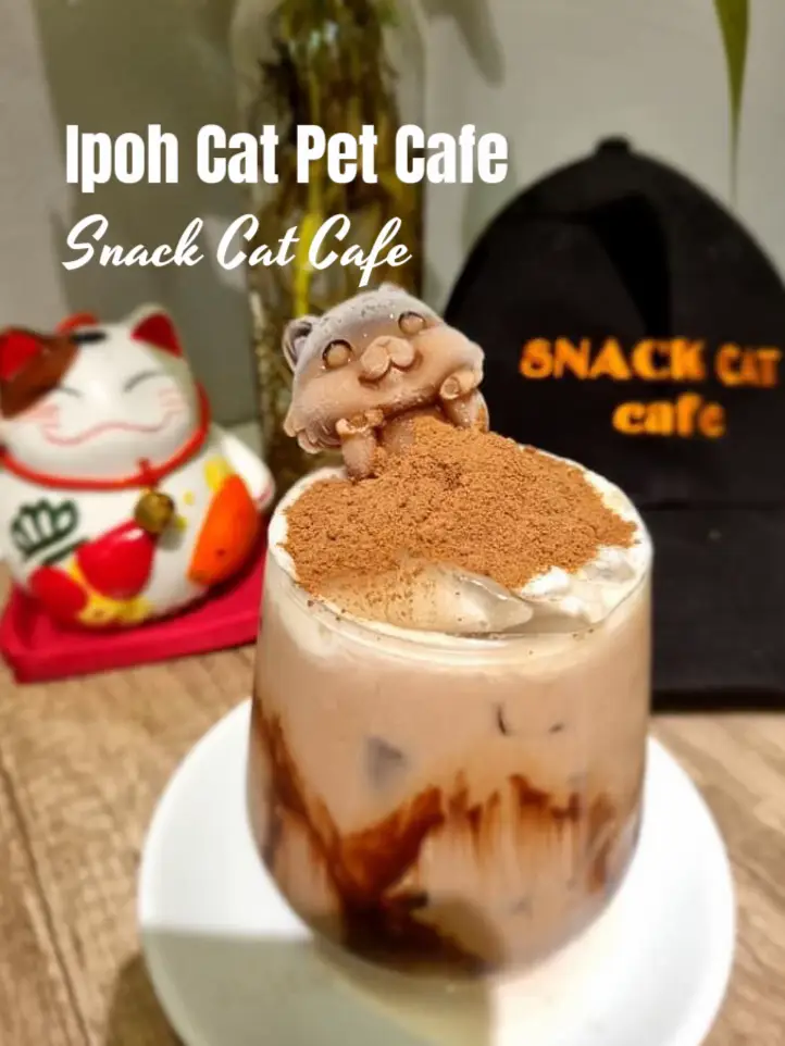 Snack Cat Cafe Ipoh Cat Pet Cafe Galeri disiarkan oleh Evon Liew